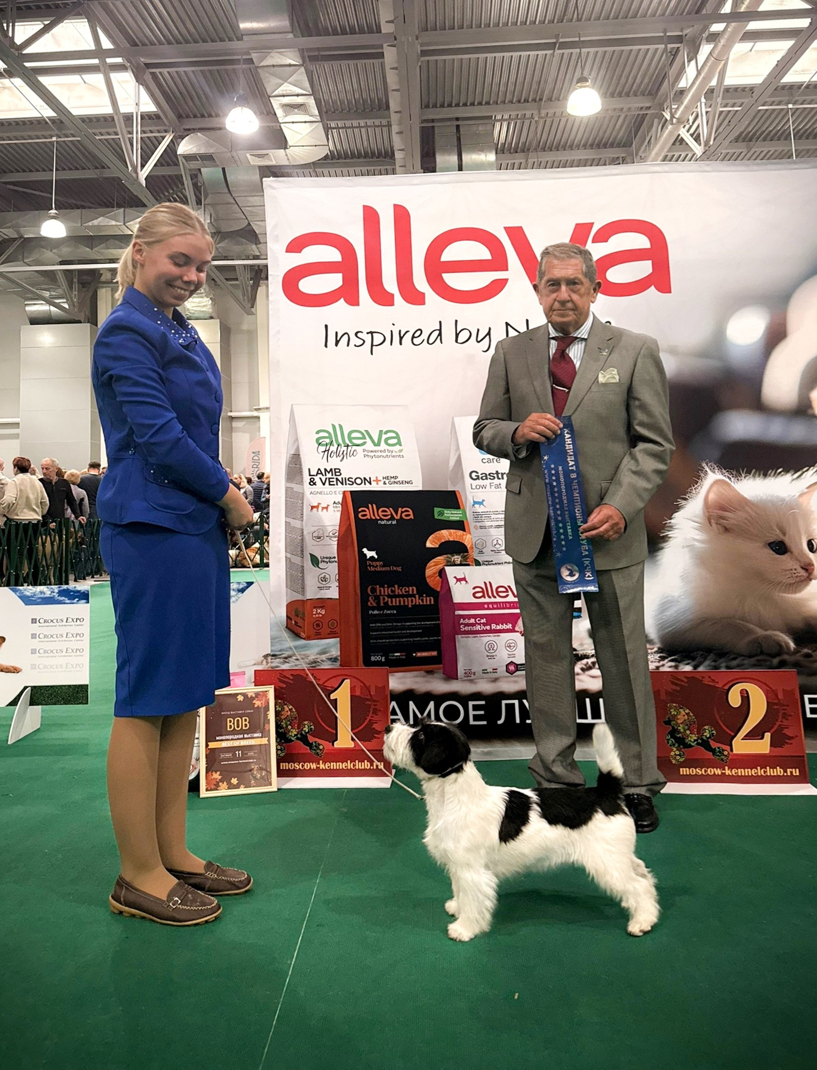 Джек рассел отзывы владельцев и покупателей щенков. CANE MAESTRO — kennel Jack Russell Terrier