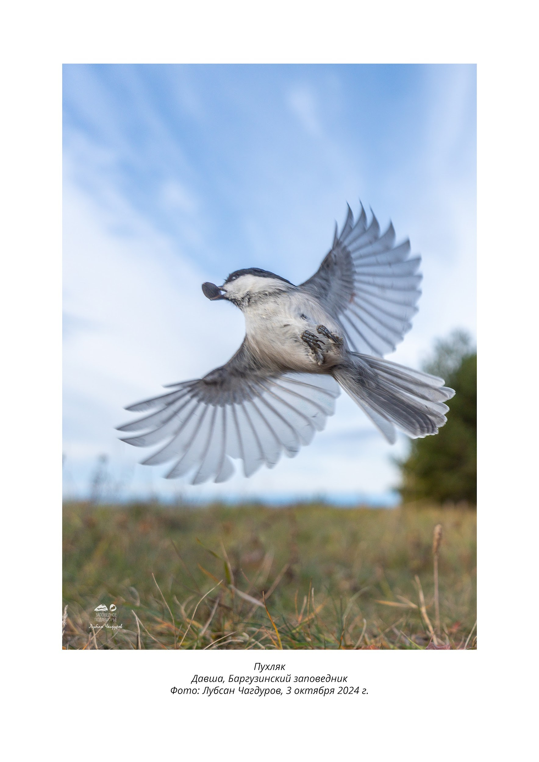 Фотограф Лубсан Чагдуров