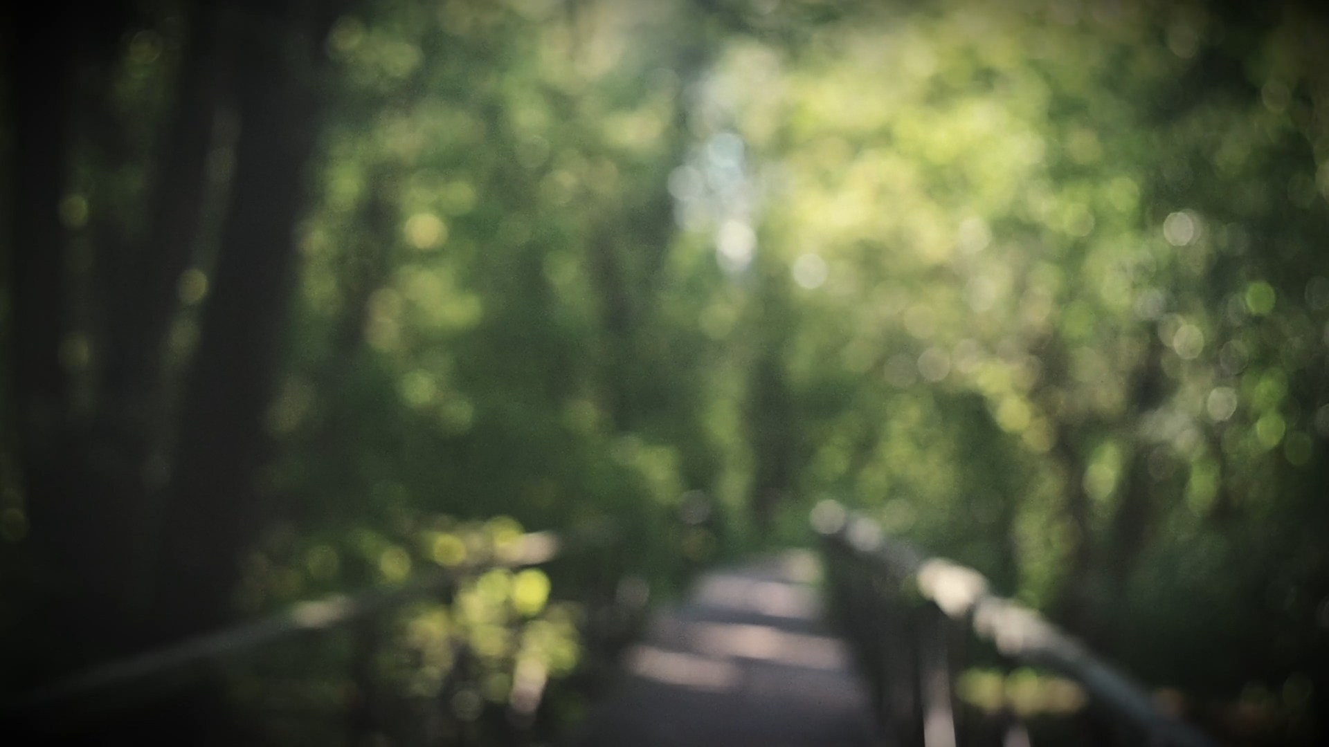 ARTRIST'S STATEMENT. Timeless Art