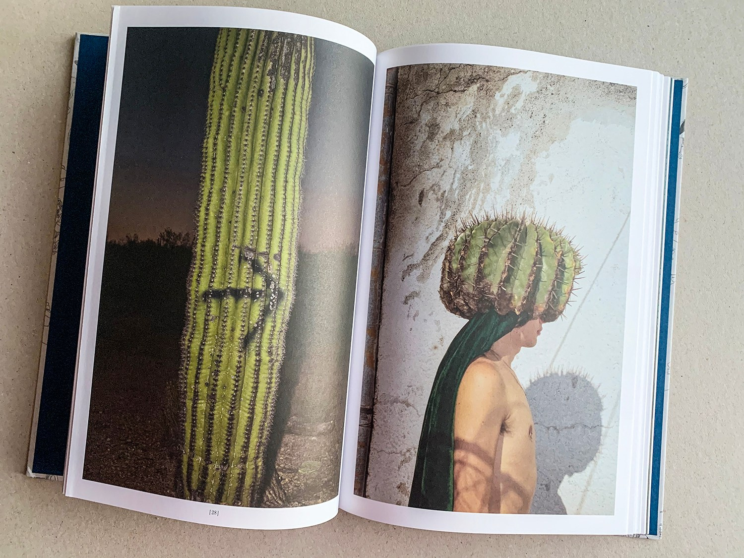 Фотокнижная библиотека Юлии Бориссовой. Фотограф и исследователь фотографии из Санкт-Петербурга Елизавета Веприцкая