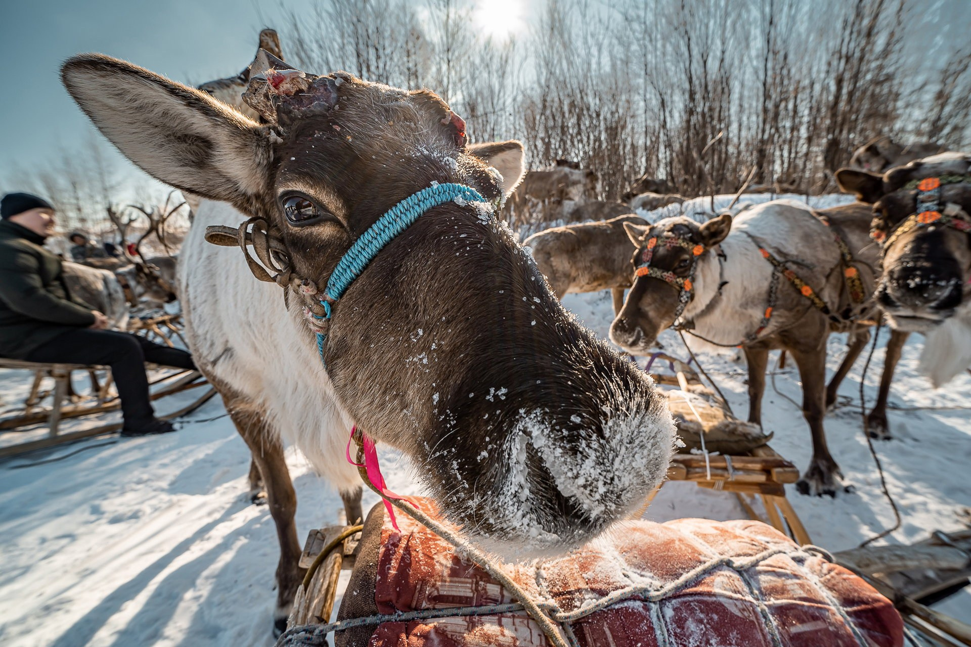 Репортажи. Фотограф Павел «Maverick» Усаченко