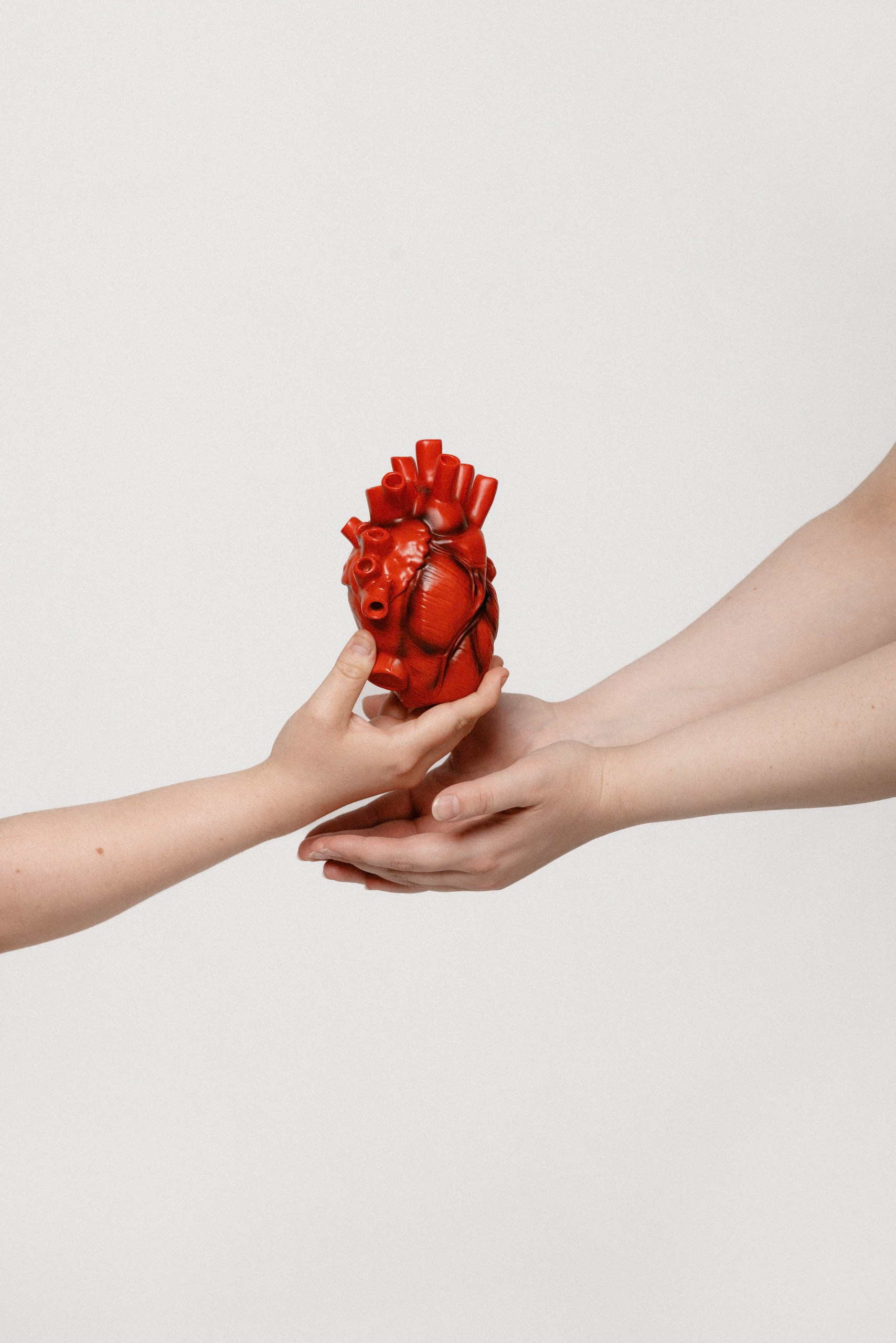 Медики. Каплицкая Любовь — фотограф Тверь