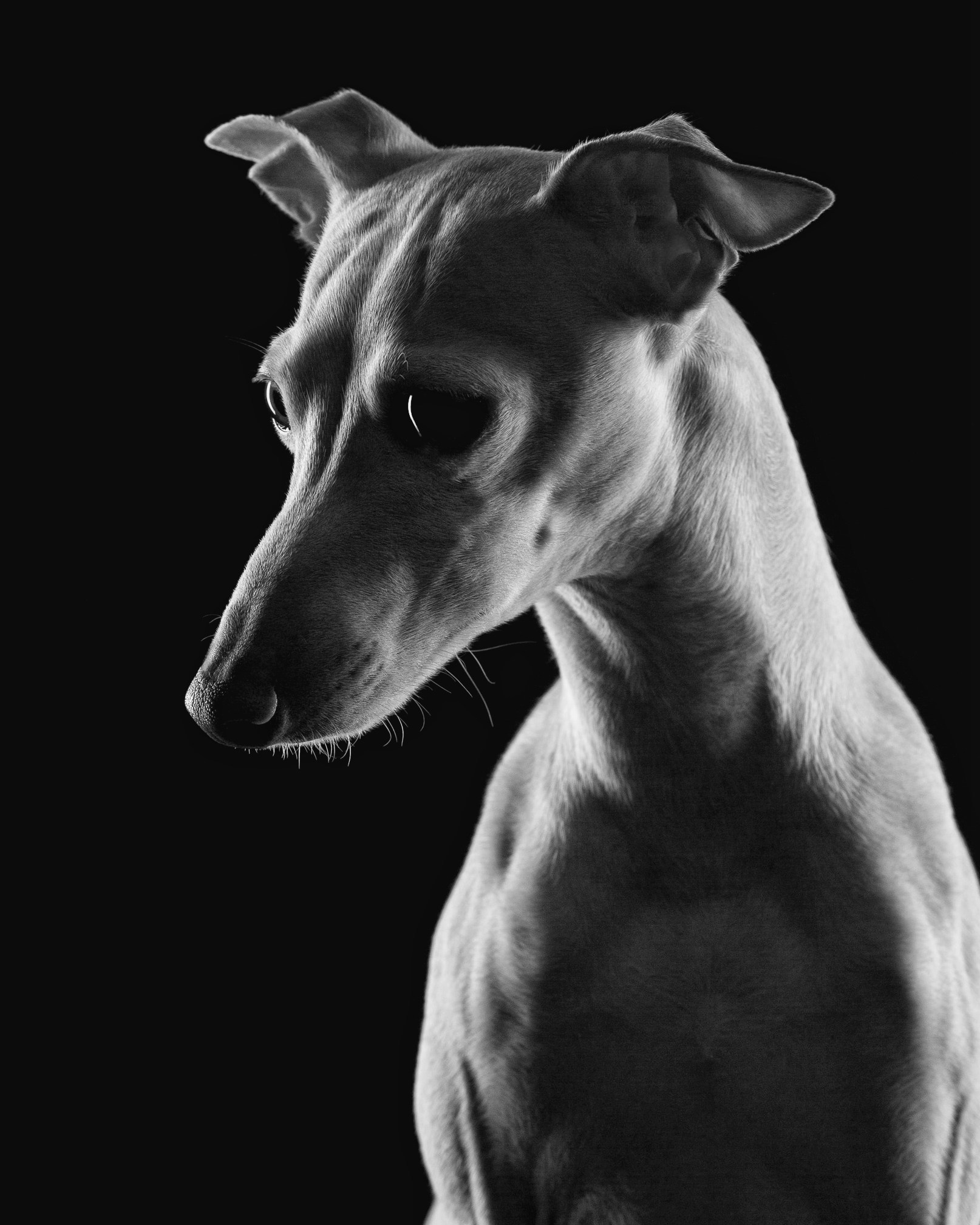 Предметный фотограф Анна Мандрикян. Предметный фотограф в Ростове-на-Дону. Фотограф Анна Мандрикян