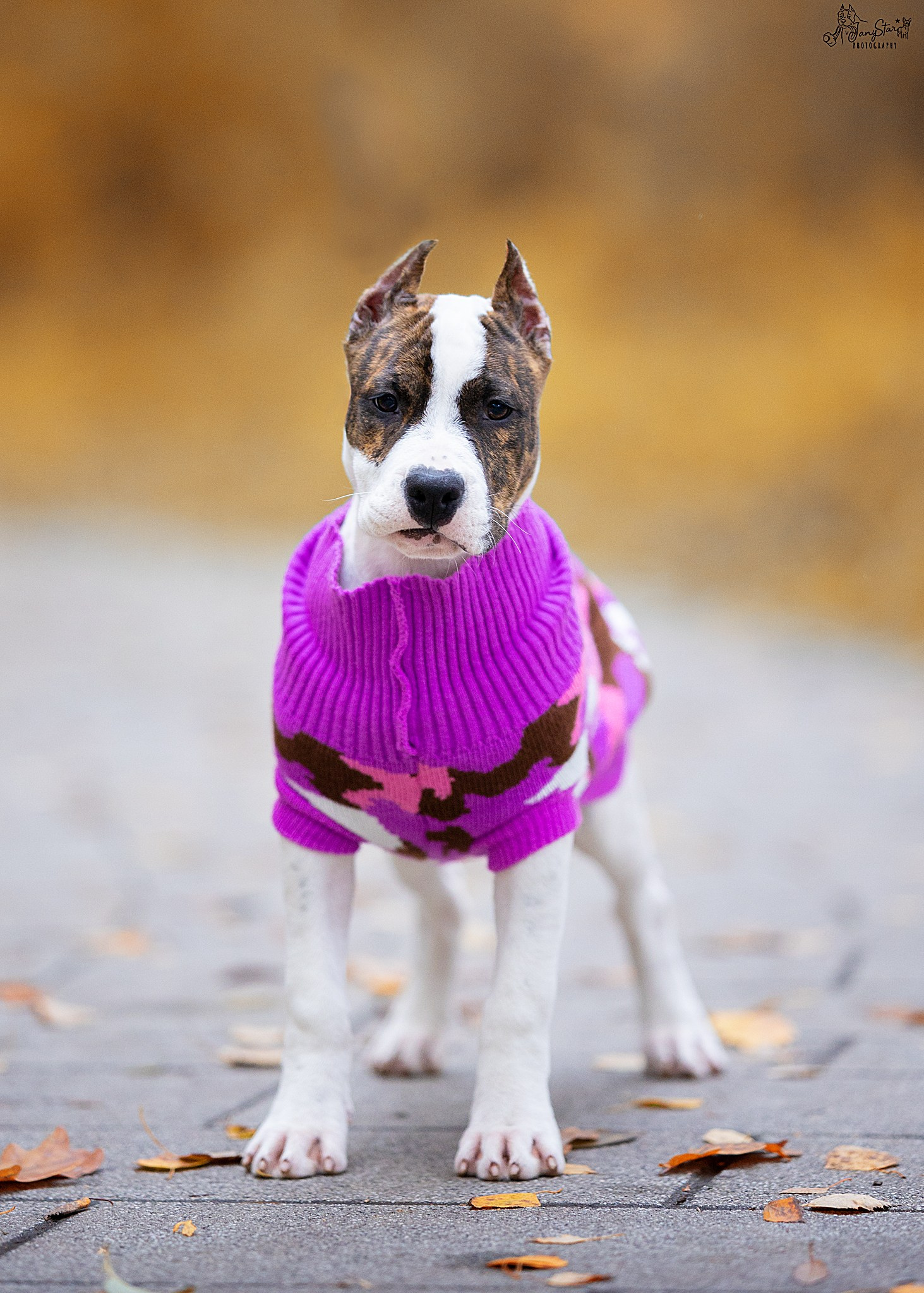 Фотограф-анималист в Москве Евгения Старостина