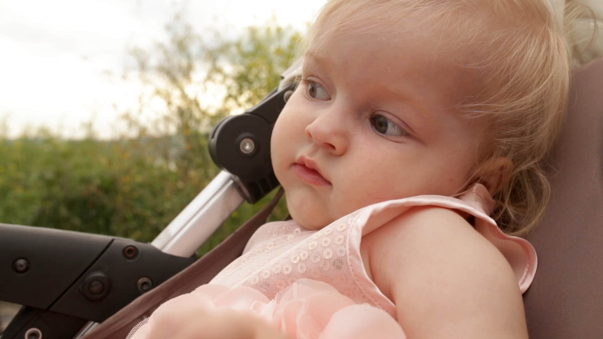 Волонтерство