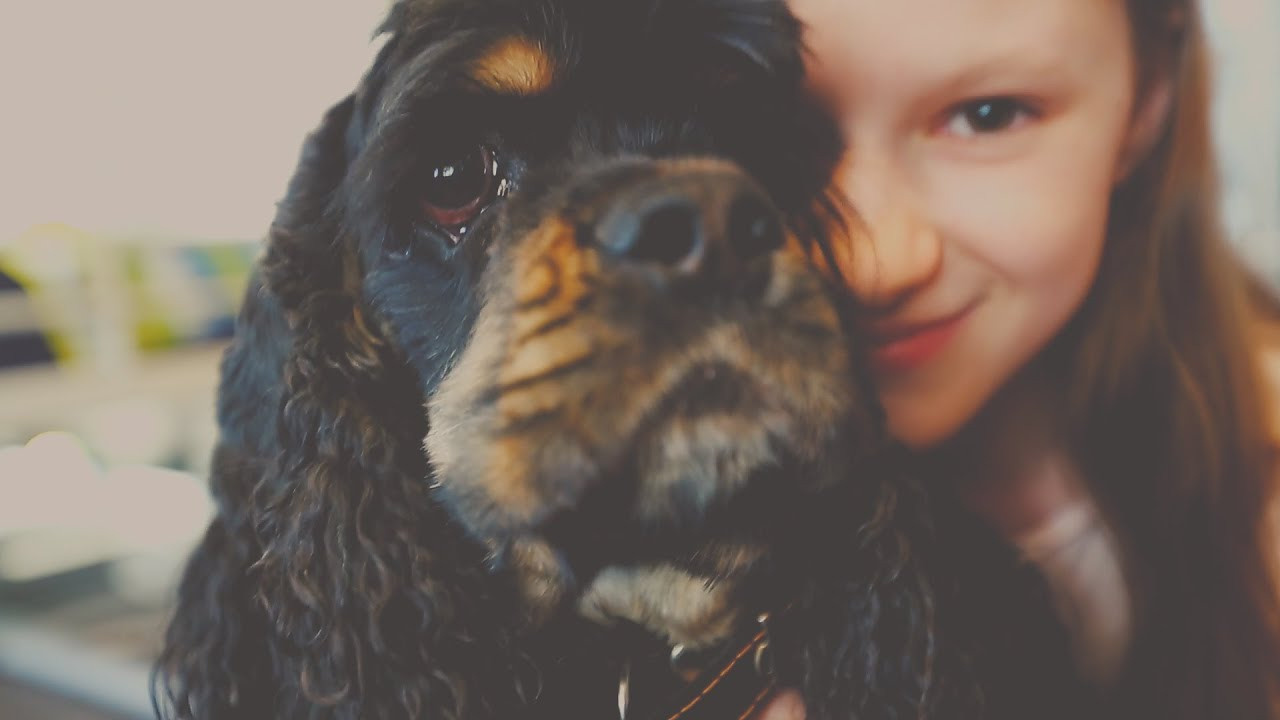 Видео. Панферов Николай Вячеславович, город Ноябрьск