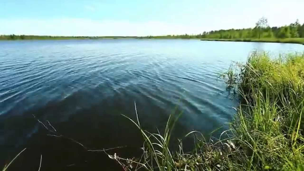 Видео. Панферов Николай Вячеславович, город Ноябрьск