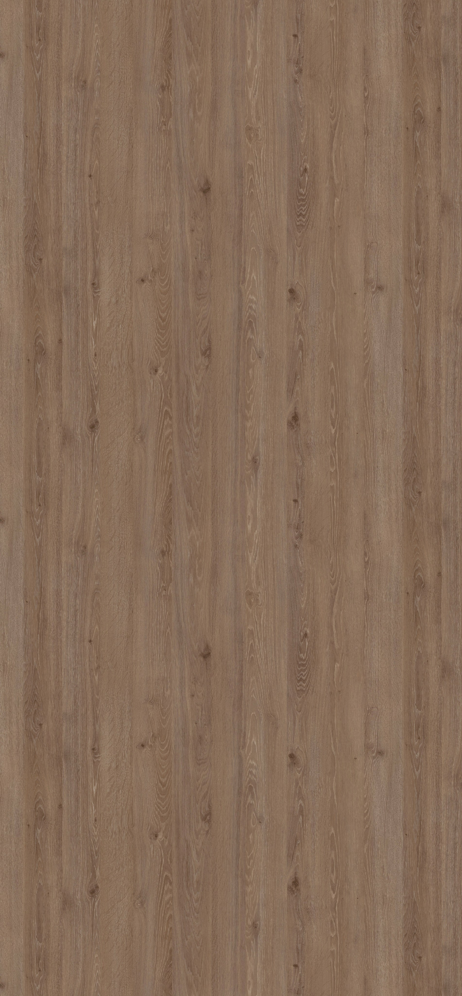 EGGER. Главная