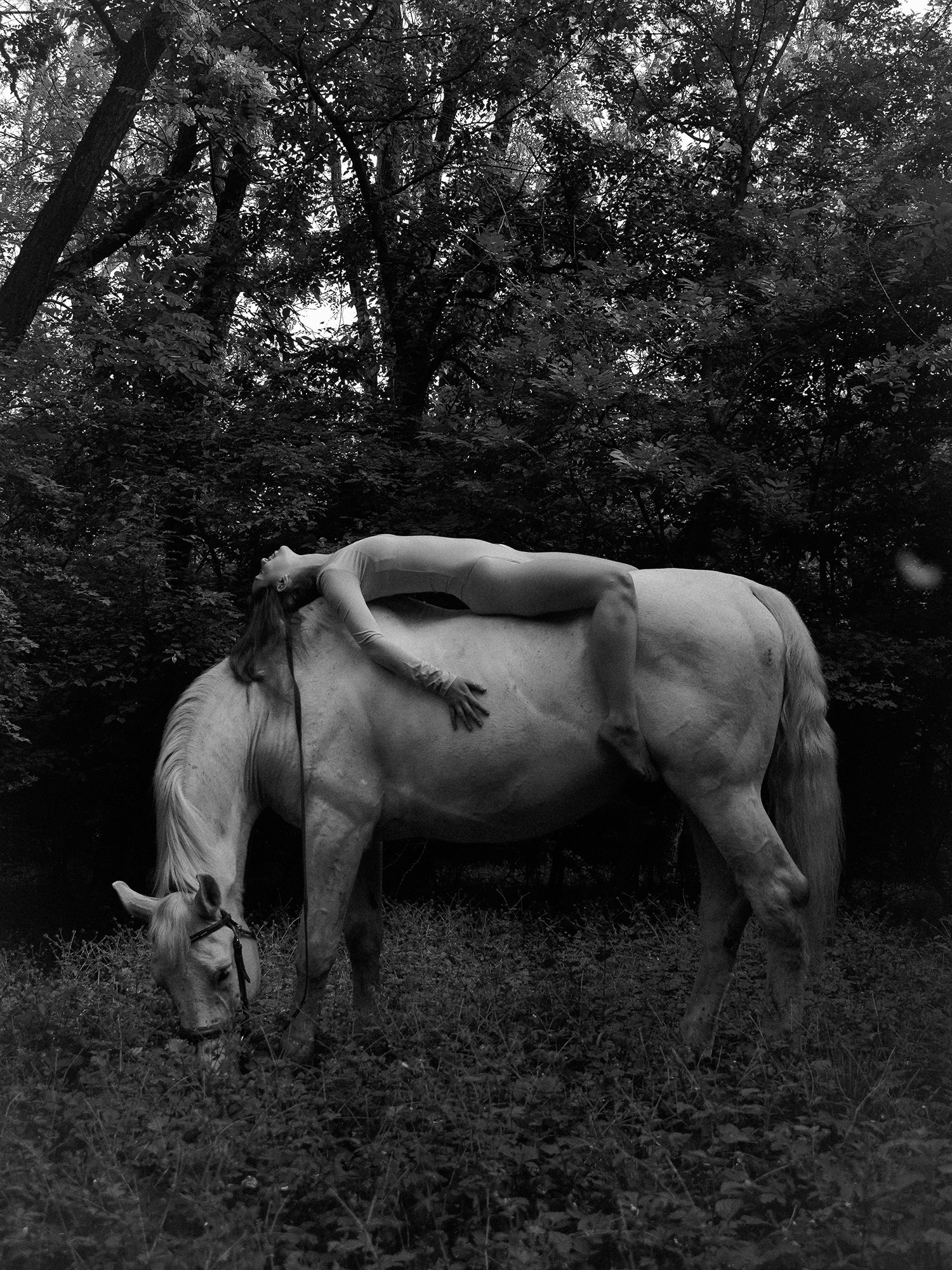 «Искусство XXI века» Ростов-на-Дону. ARTEXPOPHOTO