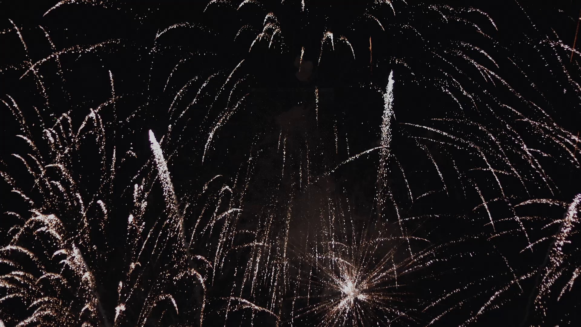 Video 2025. Lubimaya-diwali