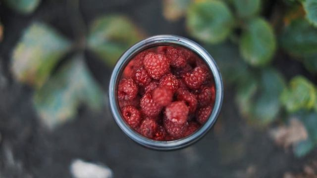 Сонце-Хмари. Фотограф Андрей Федечко