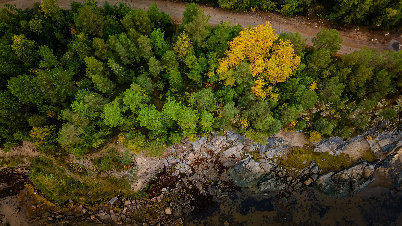 Контент съемка под ключ. Световое шоу / Москва и Мо