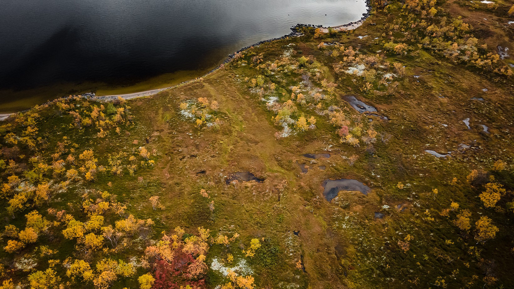 Контент съемка под ключ. Световое шоу / Москва и Мо