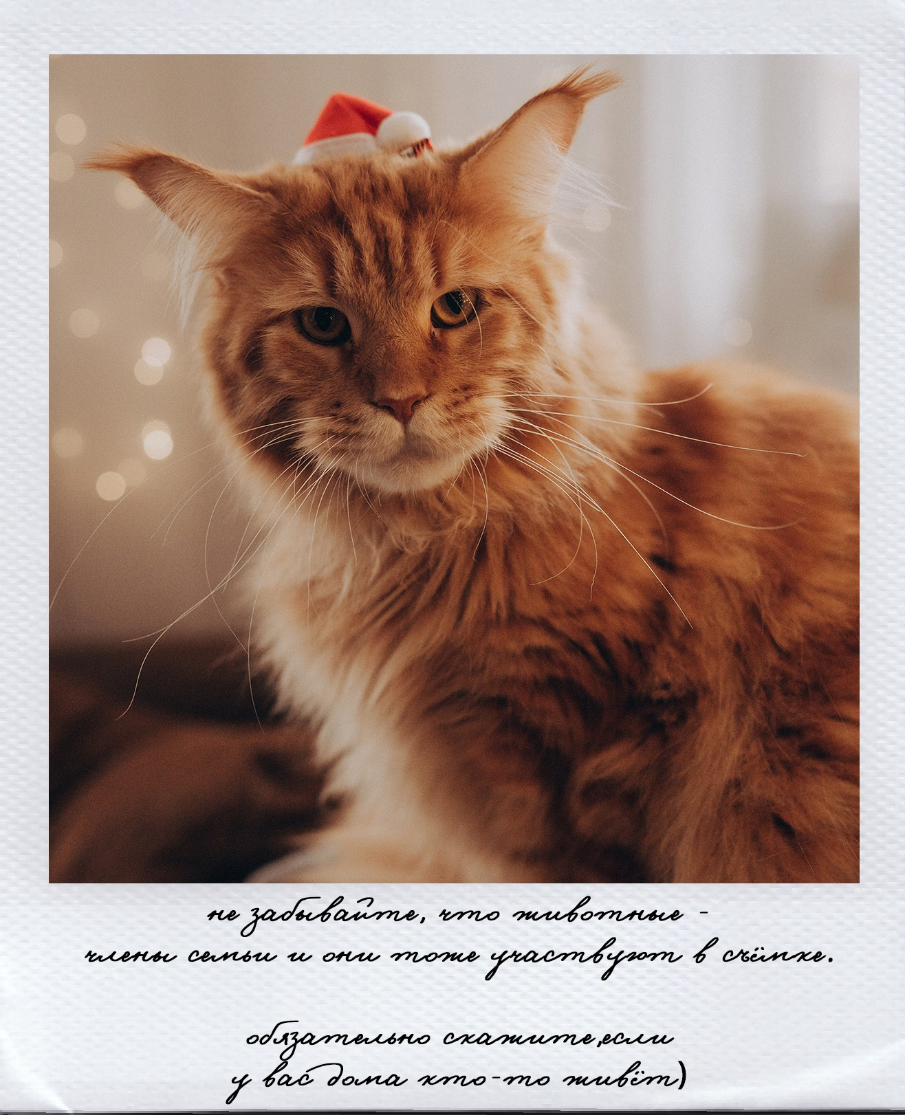 Новогодние съёмки. Детский и семейный фотограф — Калининград — Юля Насифуллина