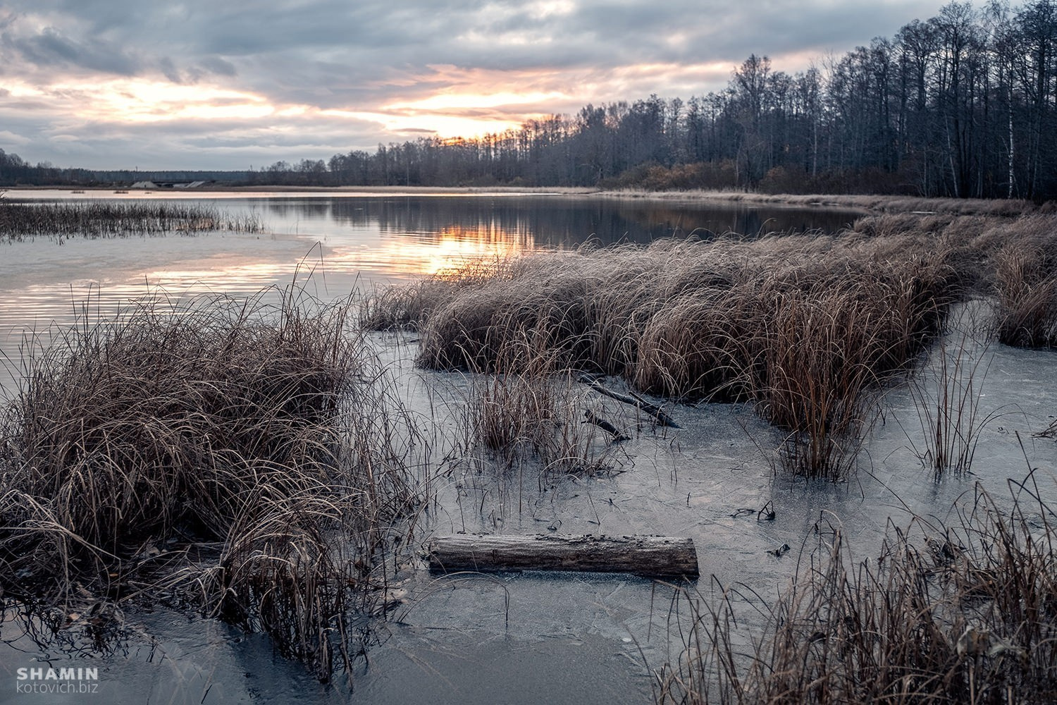 Первые заморозки. Фотограф Константин Шамин