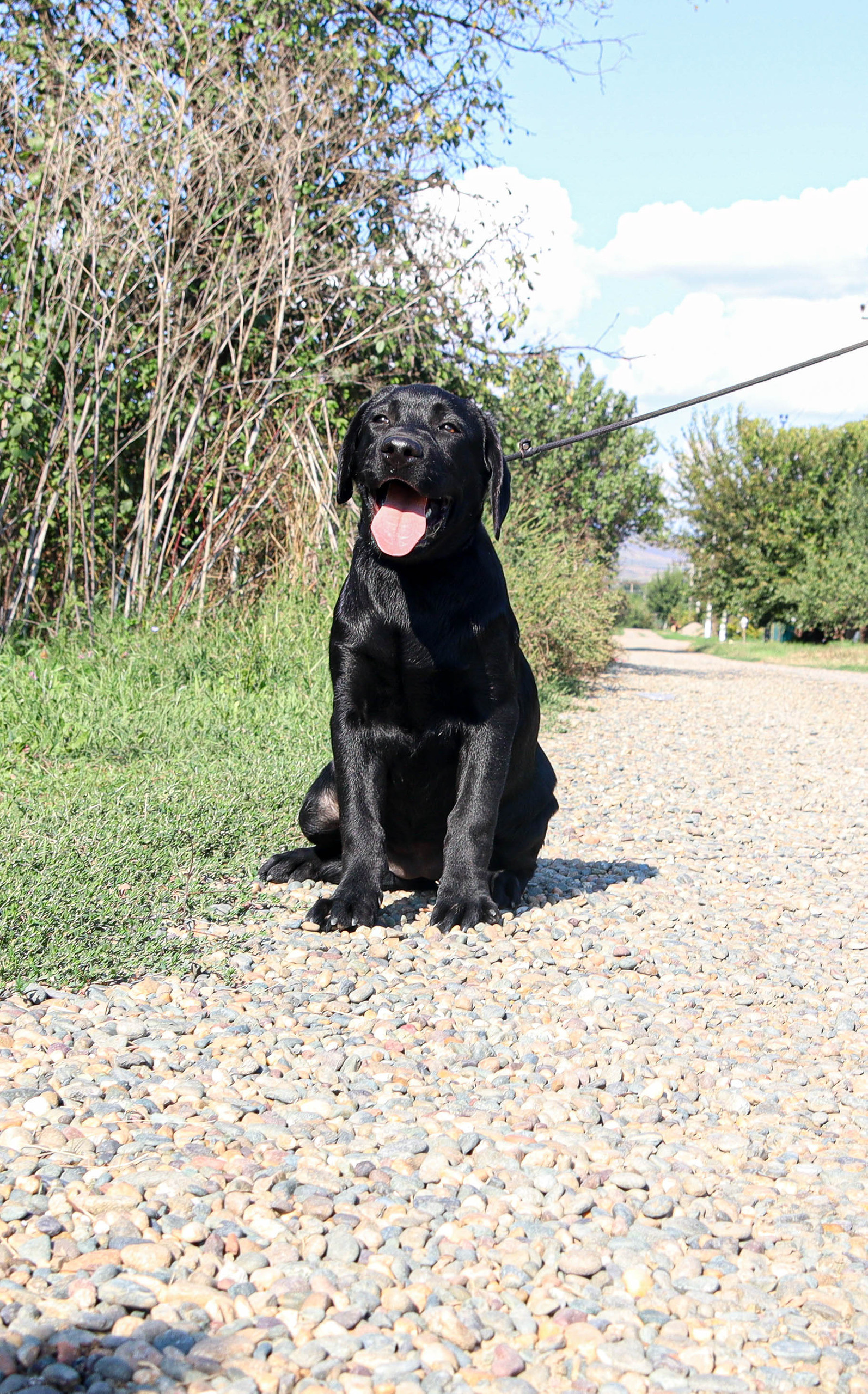 Отзывы. Alexsaphoto.ru