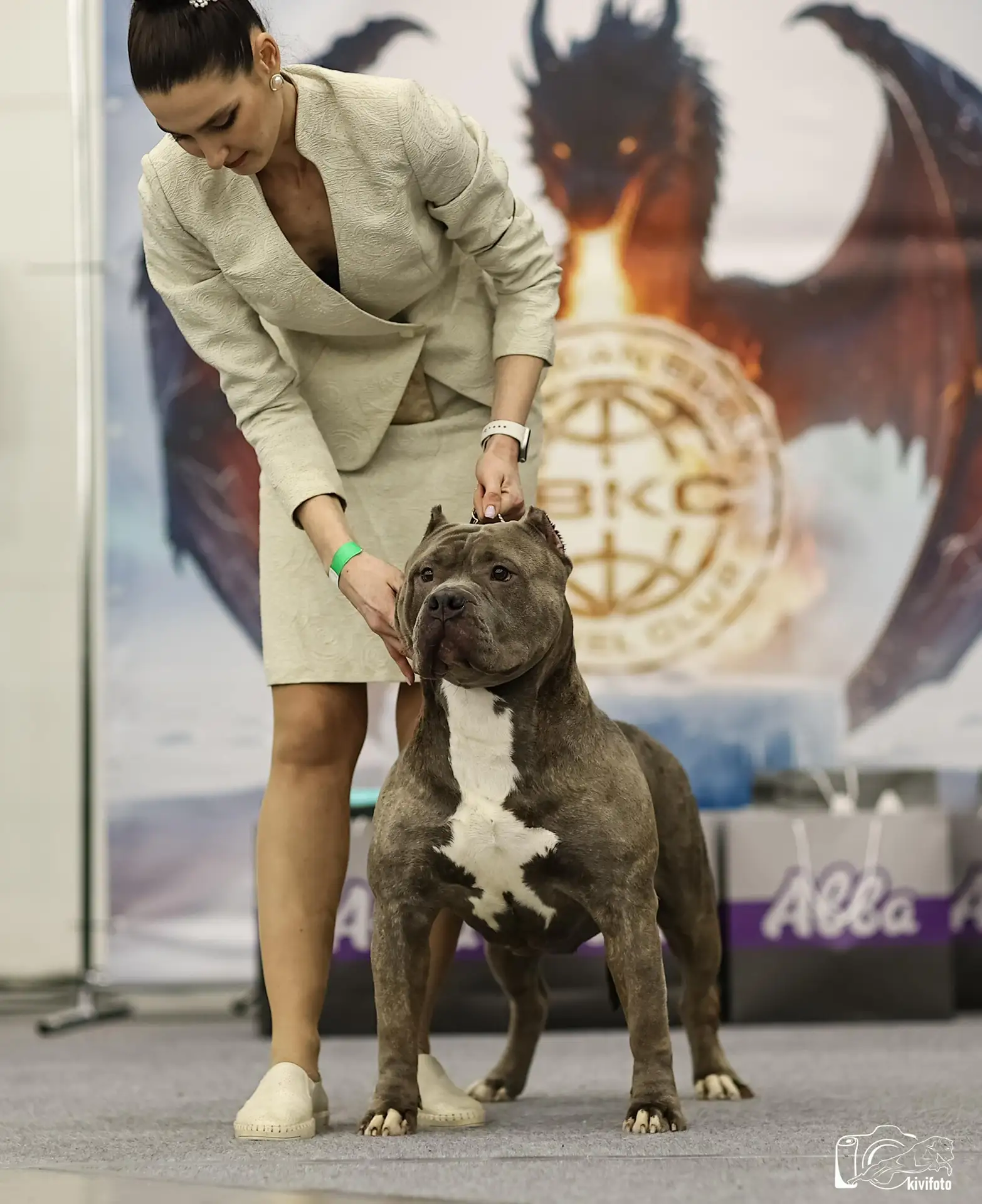 Участие в выставках. Американские булли XL в г. Калининград. Питомник Great Bully UNIVERSE