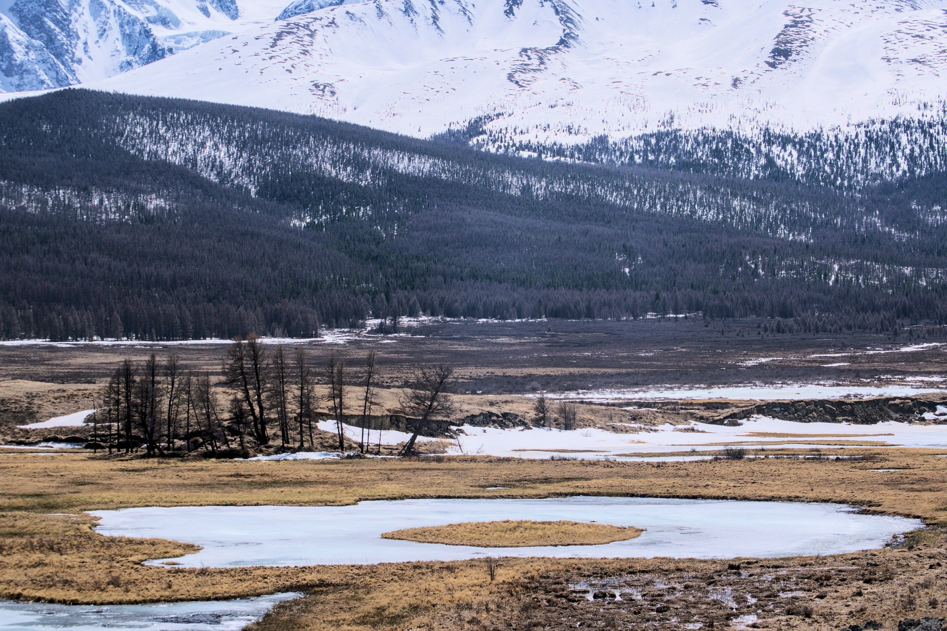 Джангысколь. Фотограф анималист, пейзажист, спортивные мероприятия. Новосибирск