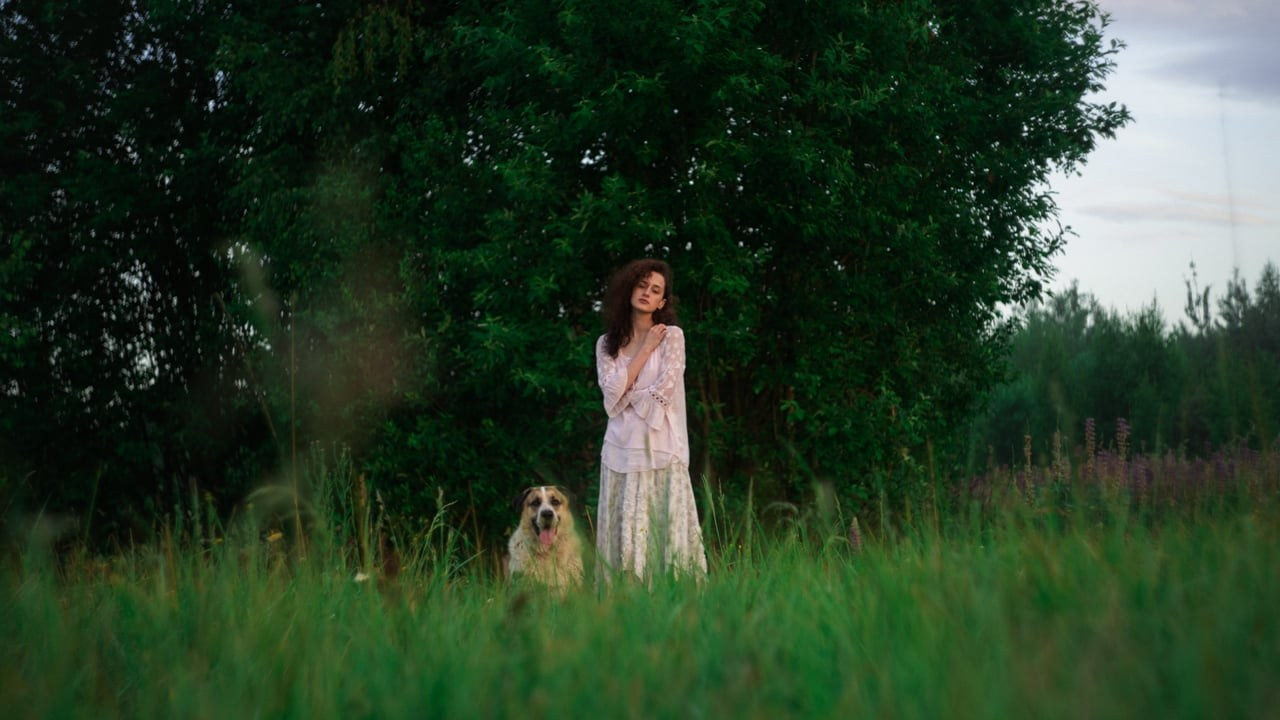 NON-COMMERCIAL. EVGENIY SHAVROV VIDEO