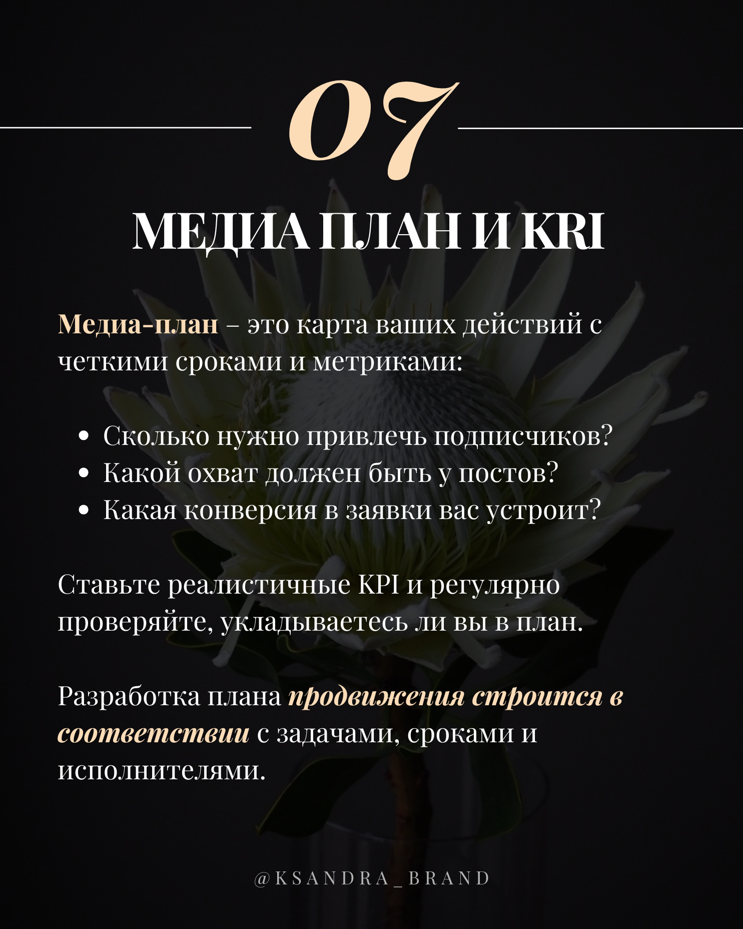 Практическое руководство: «Создание стратегии продвижения в соцсетях на 2025 год
