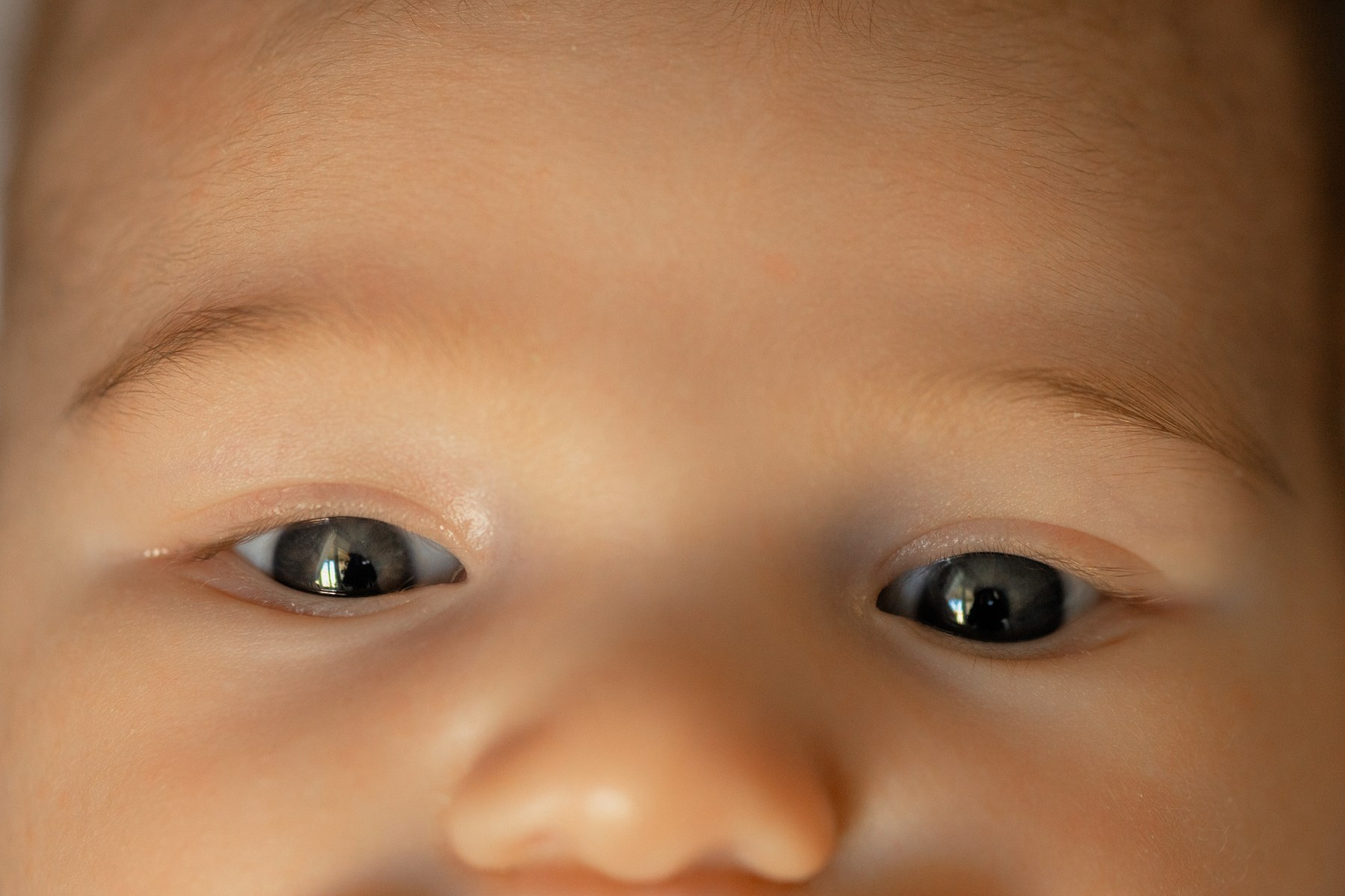 КОГДА ТЕБЕ ВСЕГО МЕСЯЦ!. Свадебный фотограф Верещак Сергей I Ростов-на-Дону