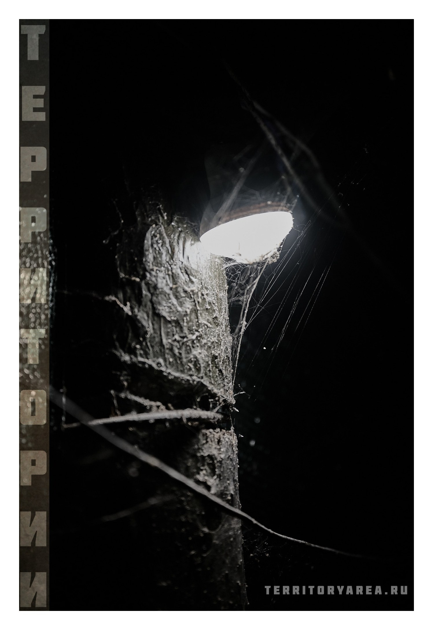 Фотопринты А3. Фотопроект «Территории»