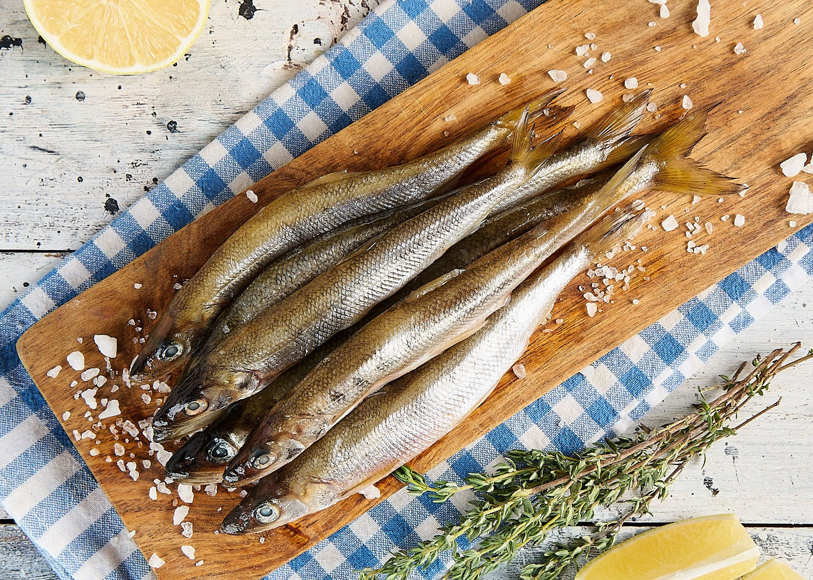 Контакты. Тимур Поляков — фотограф и оператор-постановщик