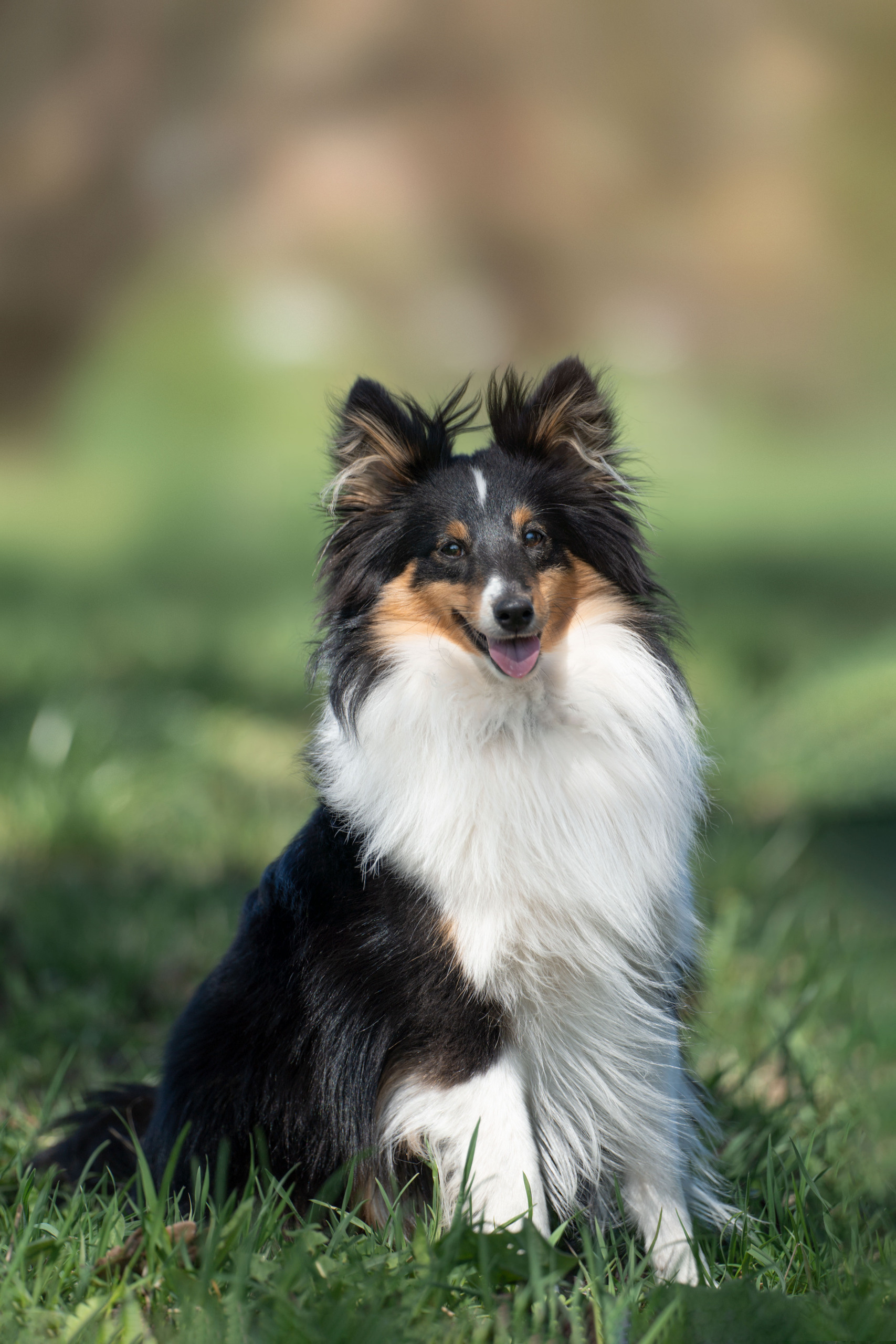 Отзывы. Фотограф анималист