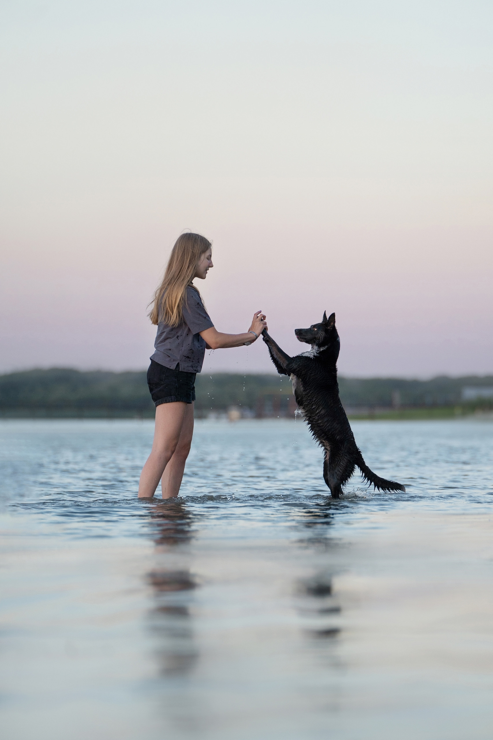 Отзывы. Фотограф анималист