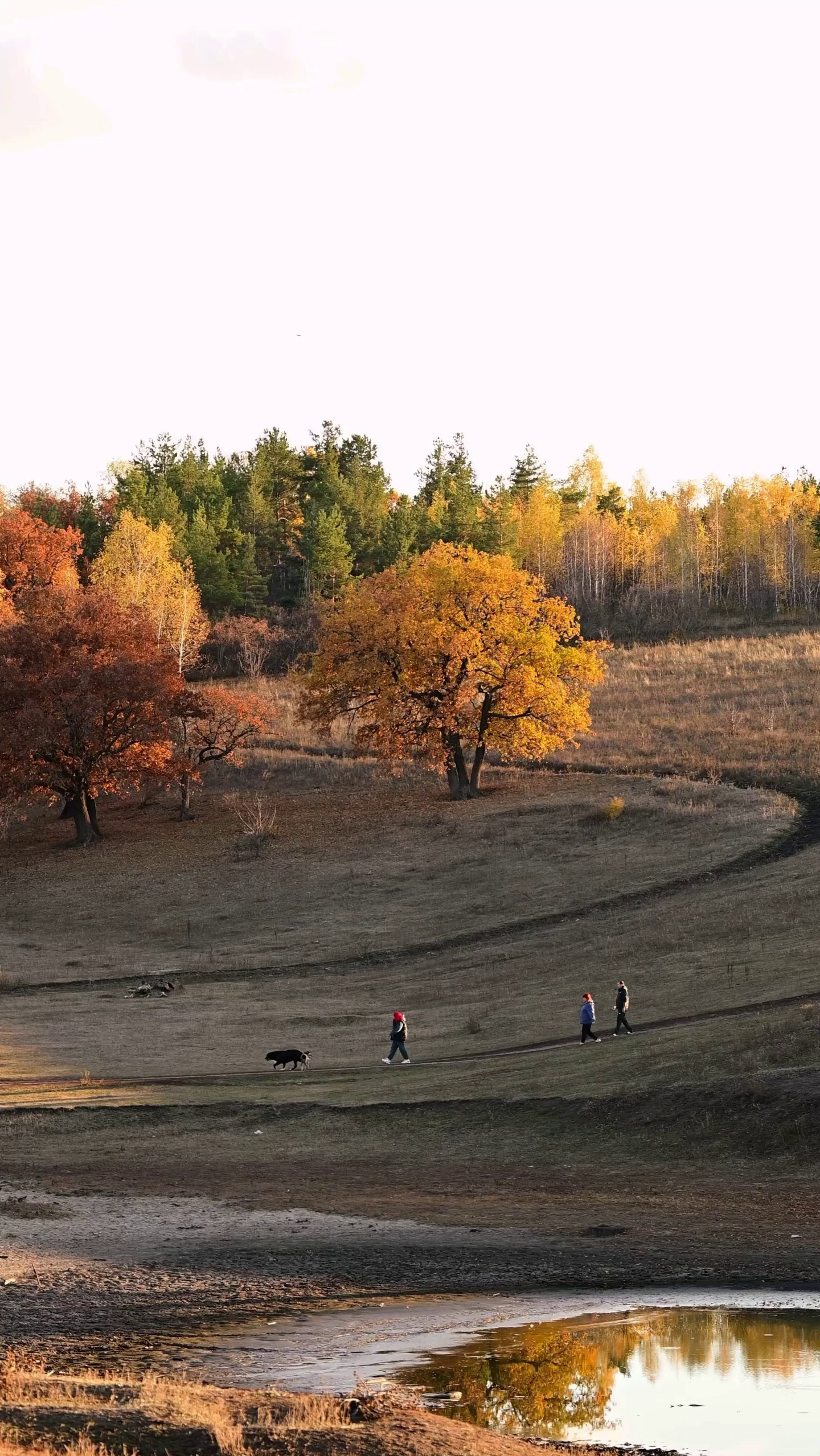 Видео в формате маленькой истории. Мила Астахова
