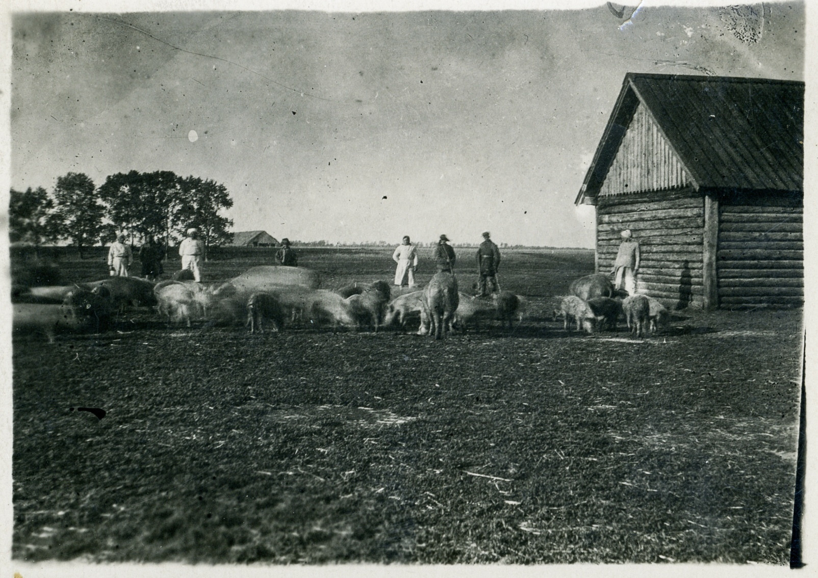 Спасский р-он, Татарстан, 1940–1970 гг. Igor Volkov