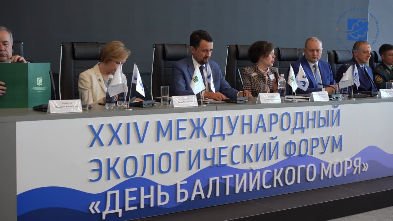 Видео портфолио. Фотограф Елизавета Потешкина