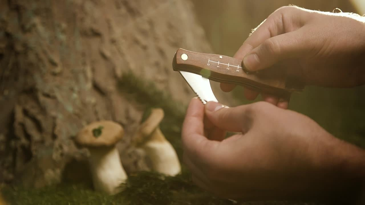 Визуал, который работает на репутацию