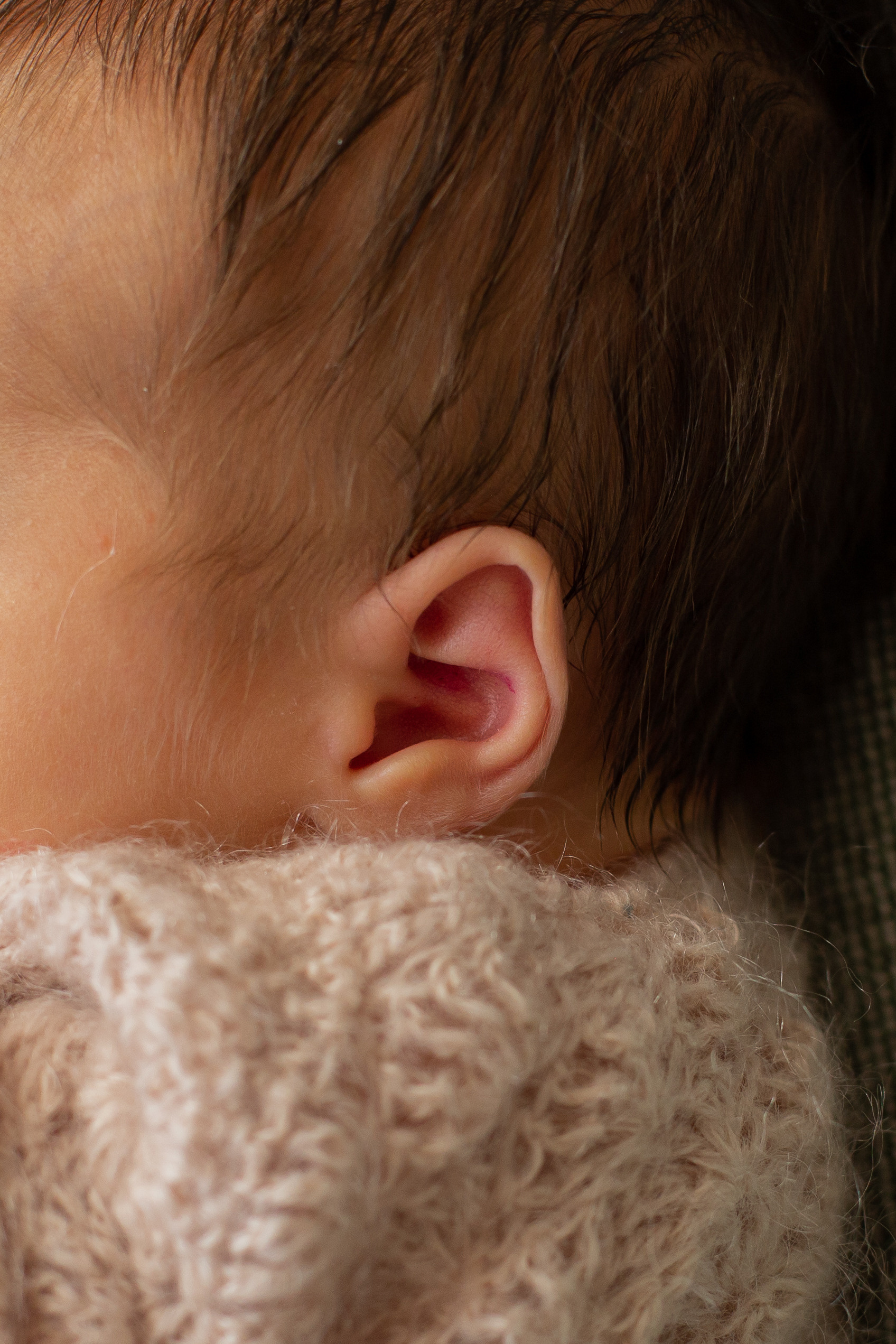 Фотосессия новорожденного в Нижнем Новгороде. Photographer in Montenegro — professional photoshoots