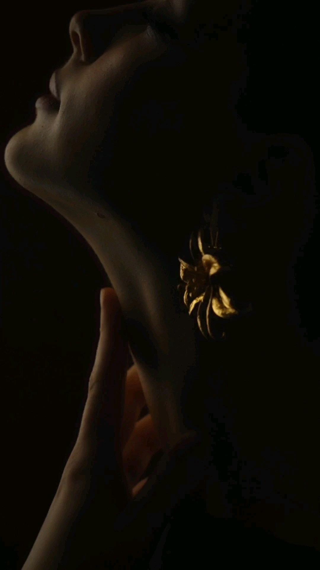 Видеосъемка проектов различной тематики. Видеосъемка рекламы, видеосъемка аксессуаров, видеосъемка танцев, видеосъемка клипов в Москве  и в. Профессиональный фотограф Игорь Парфенов, Новосибирск, Москва, реклама, каталоги, контент, портрет, видео, будуар