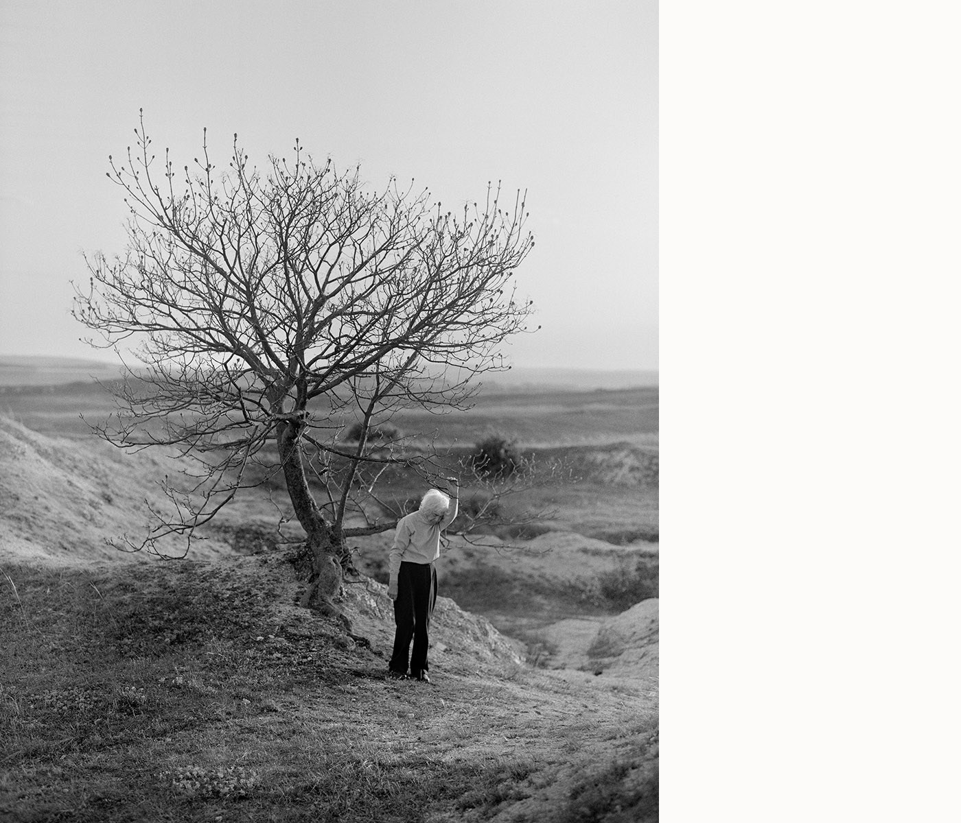 Проект Balazs Turos «The nature of things». Private image