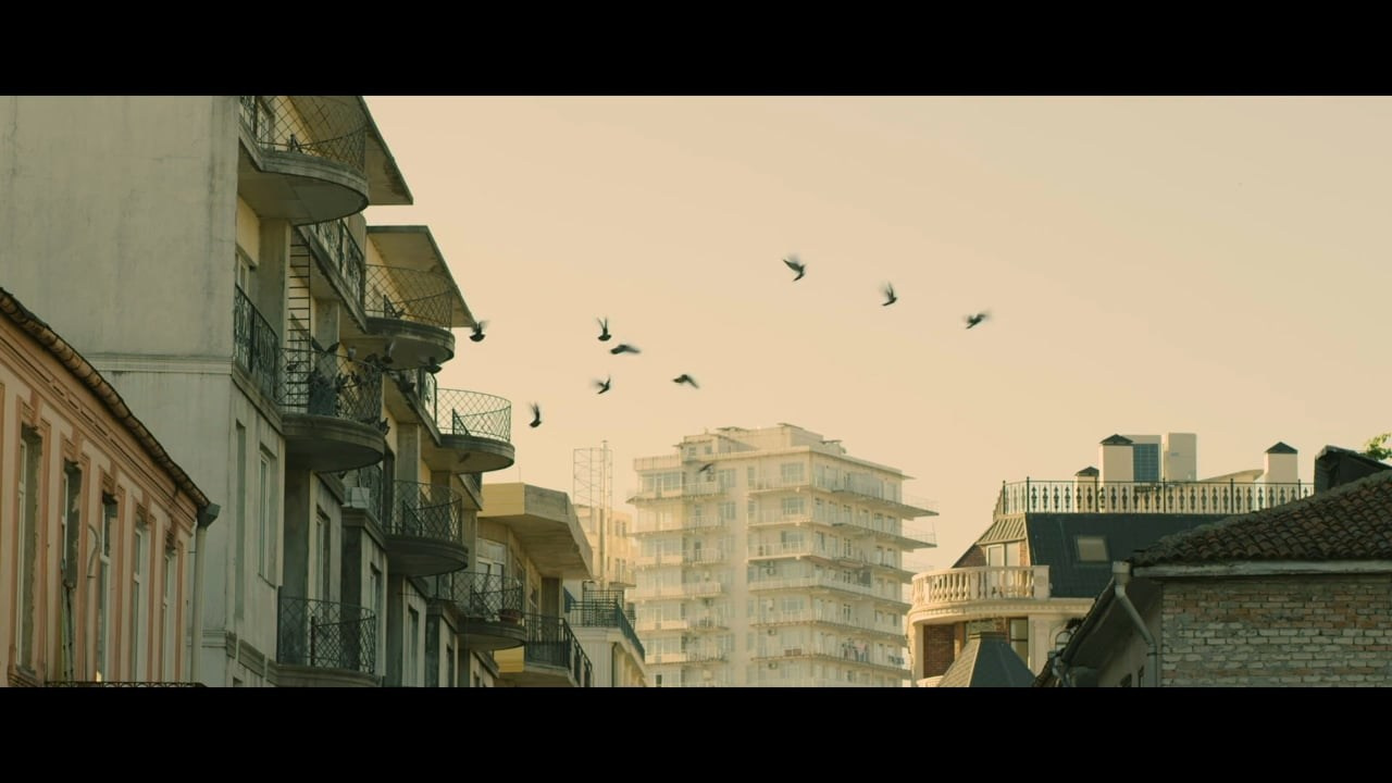 Director of photography