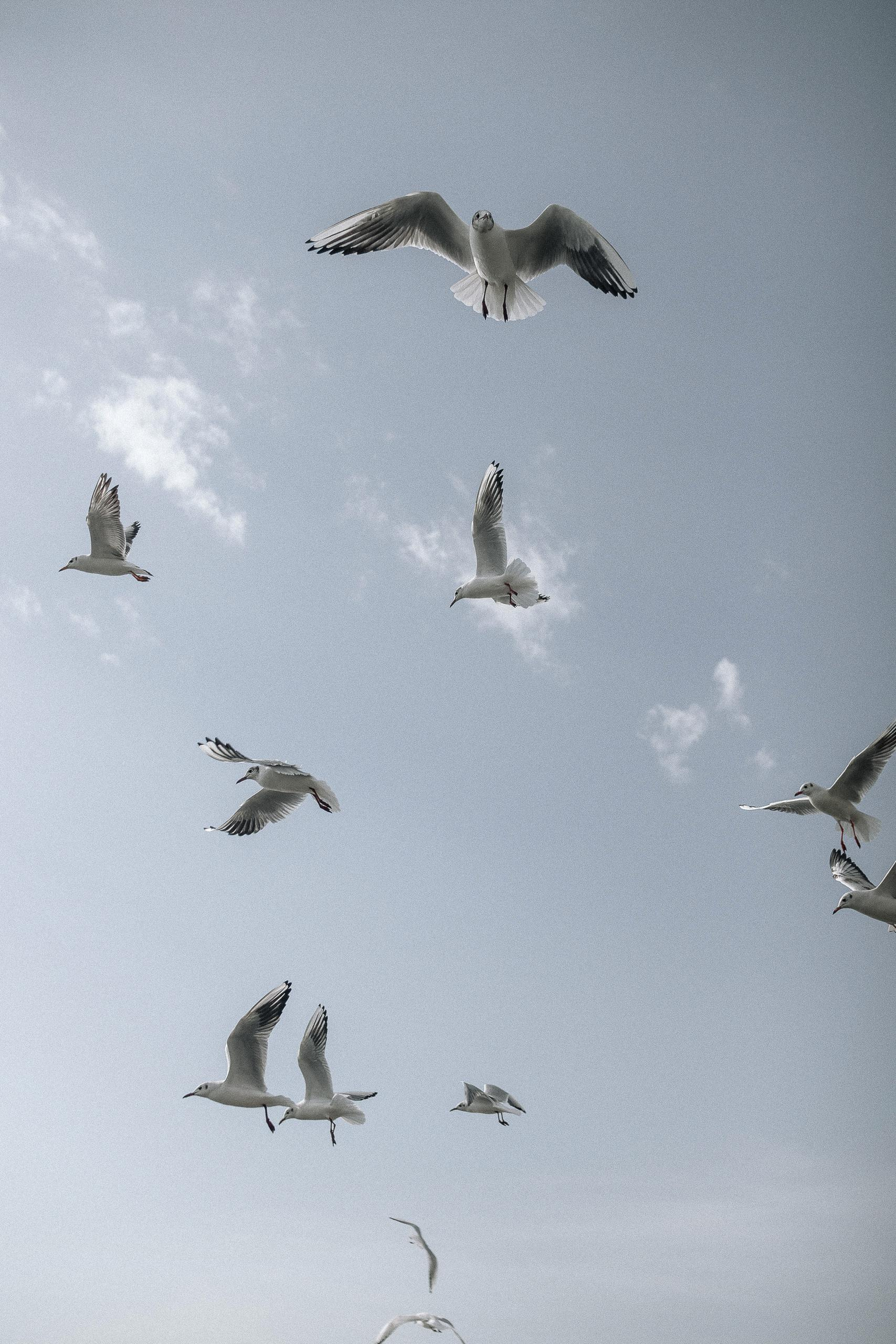 ОБО МНЕ (старая). Фотограф Пхукет Елизавета Самокрутова