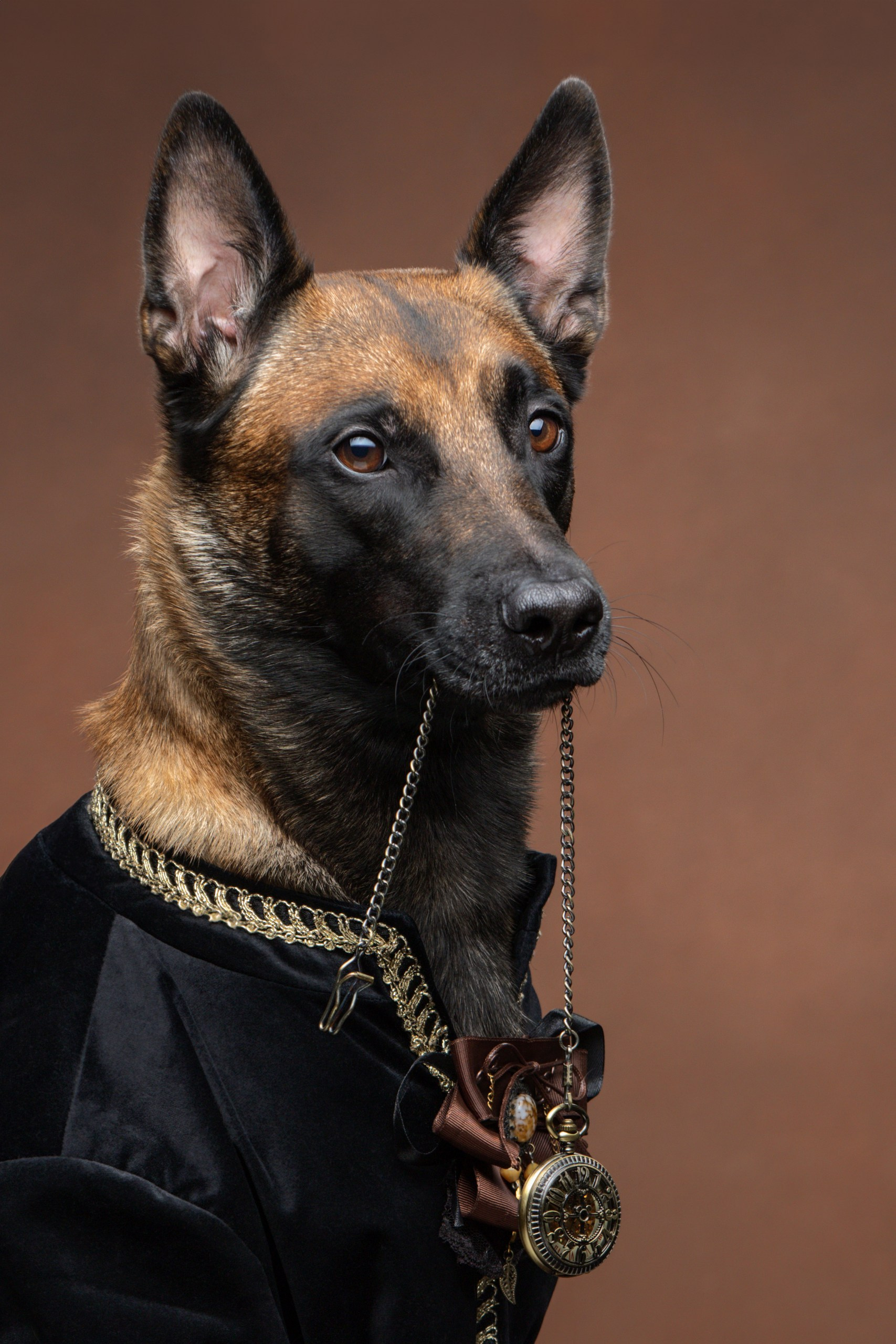 Отзывы. Фотограф-анималист Юлия Зубкова