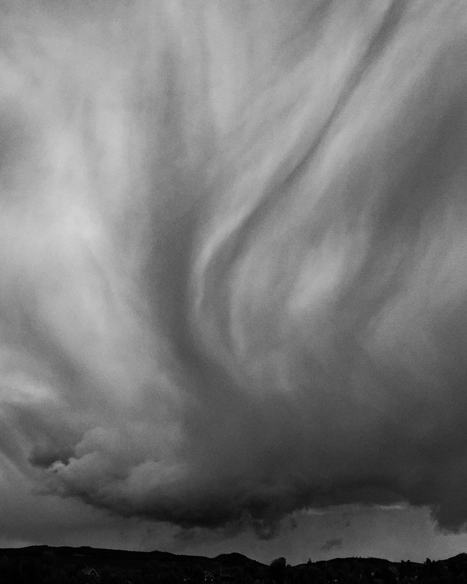 ИНТЕРВЬЮ С АВТОРАМИ: Maja Daniels. Самоорганизация Низина