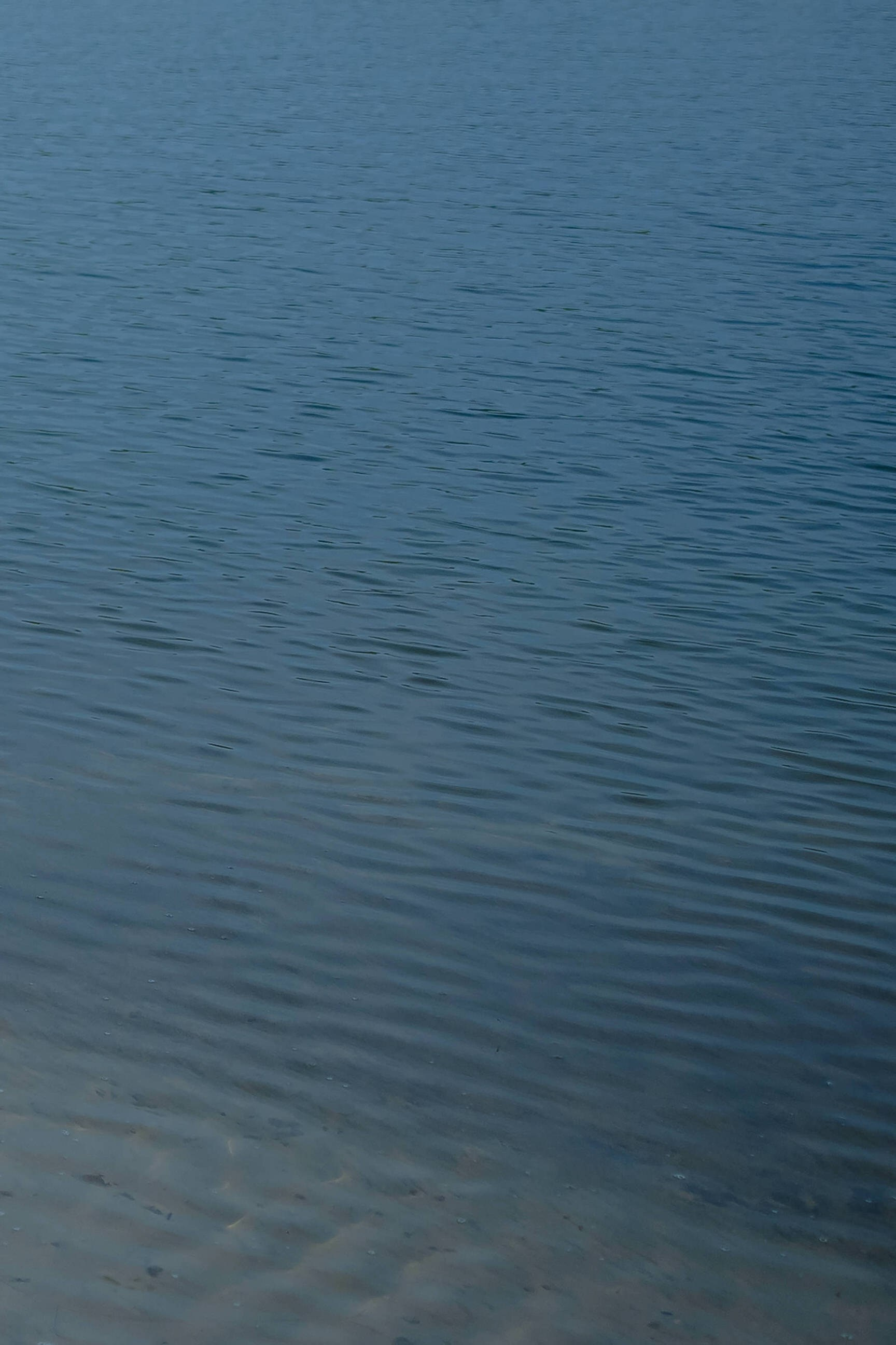 Полина & Вадим. Yura Rush Свадебный фотограф Тюмень