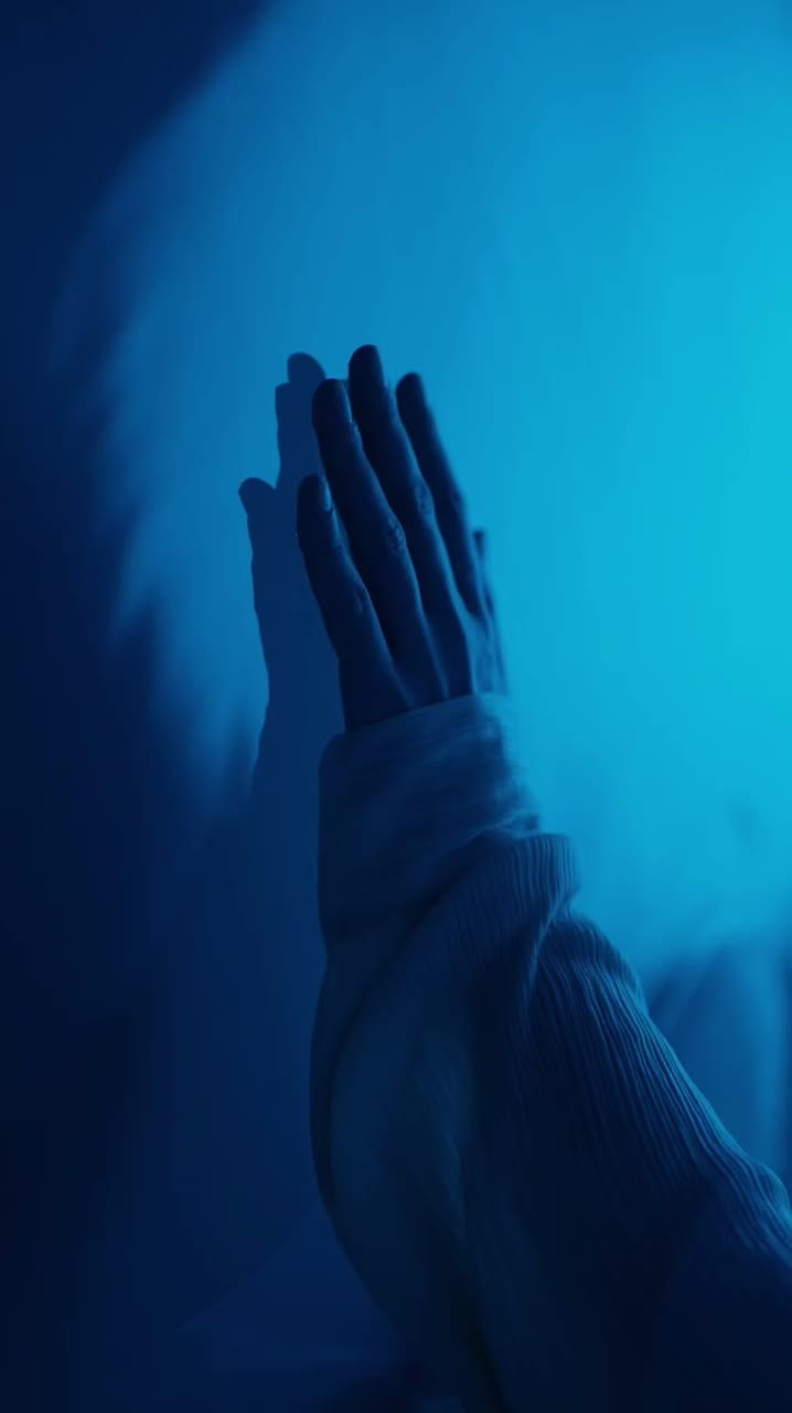 Концептуальный проект «ПЛЮЩ»