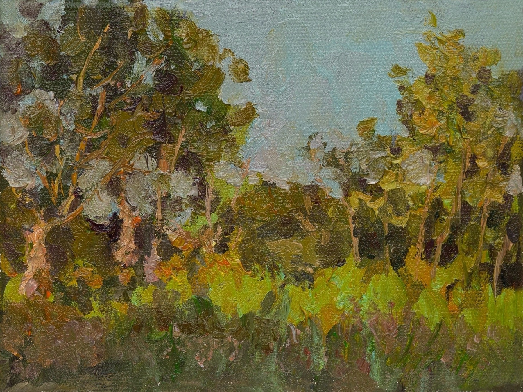 Вечерний свет