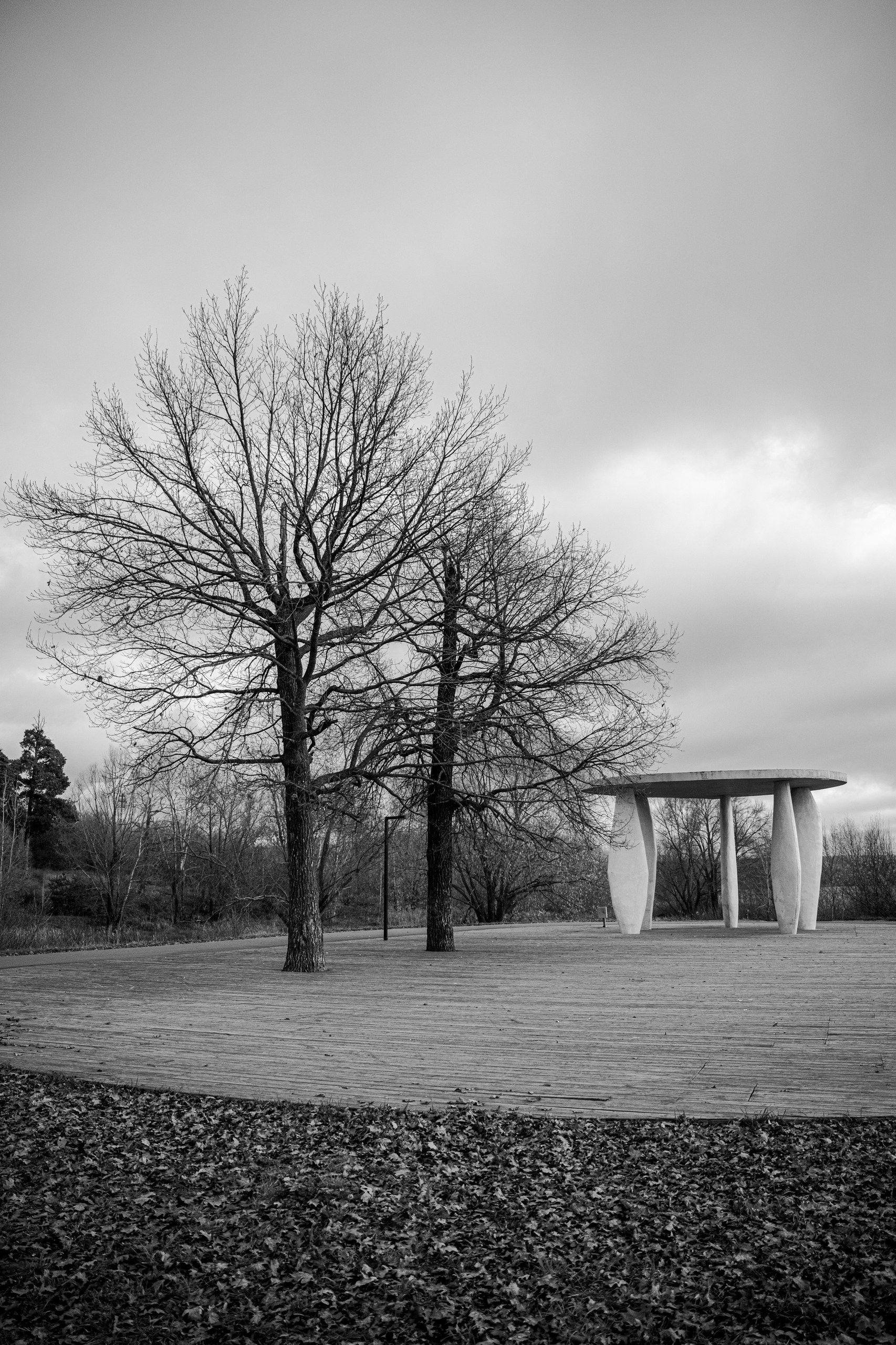 Свадебный фотограф в Казани, и Зеленодольске Радик Мухаметов