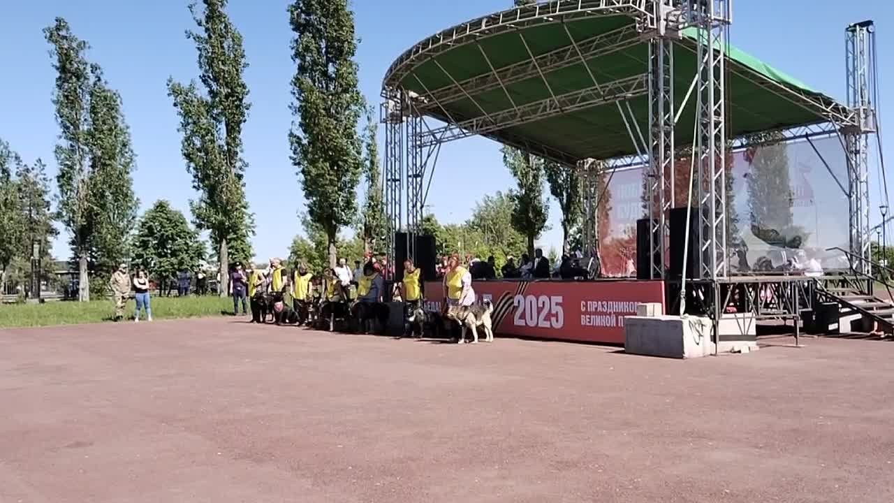 День Пограничника и День Пограничной кинологии. НРОО КЦ "Собаковод"