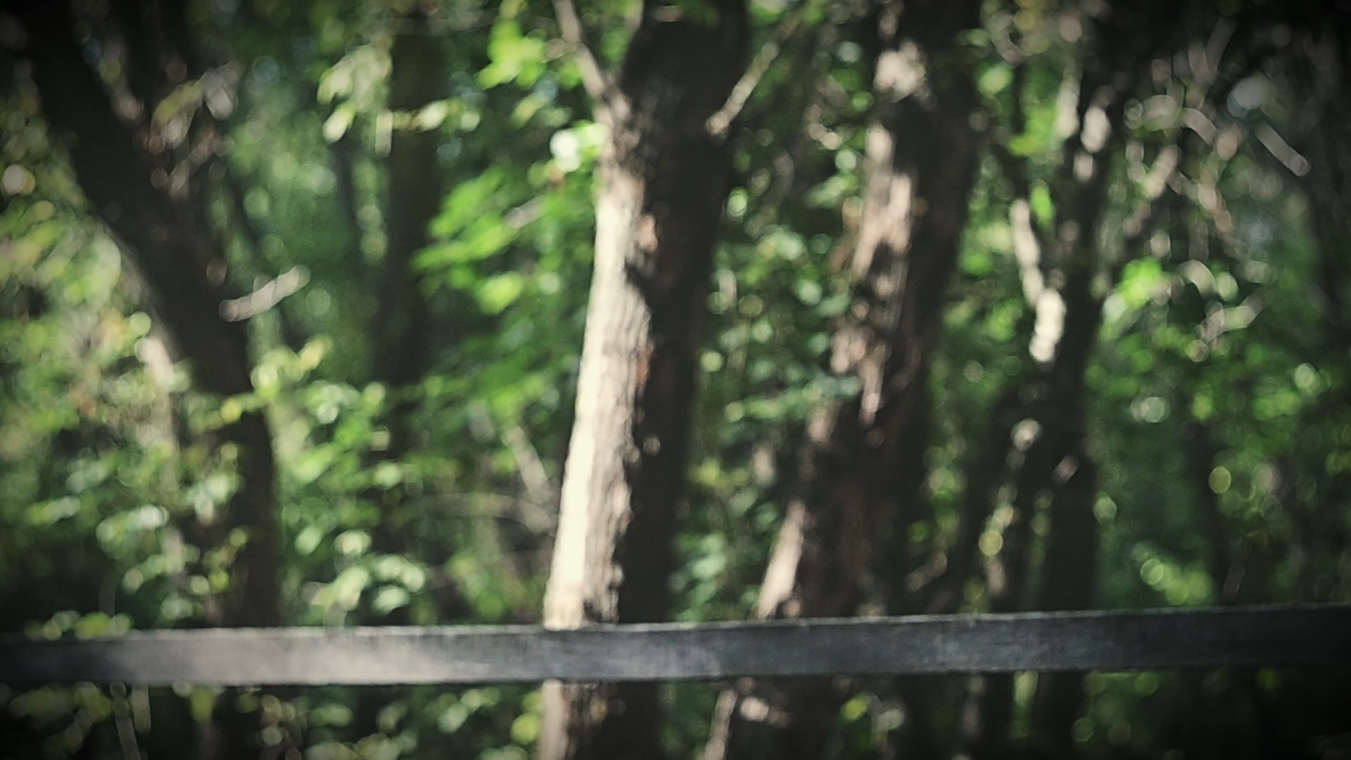 NOSTALGIA. Timeless Art