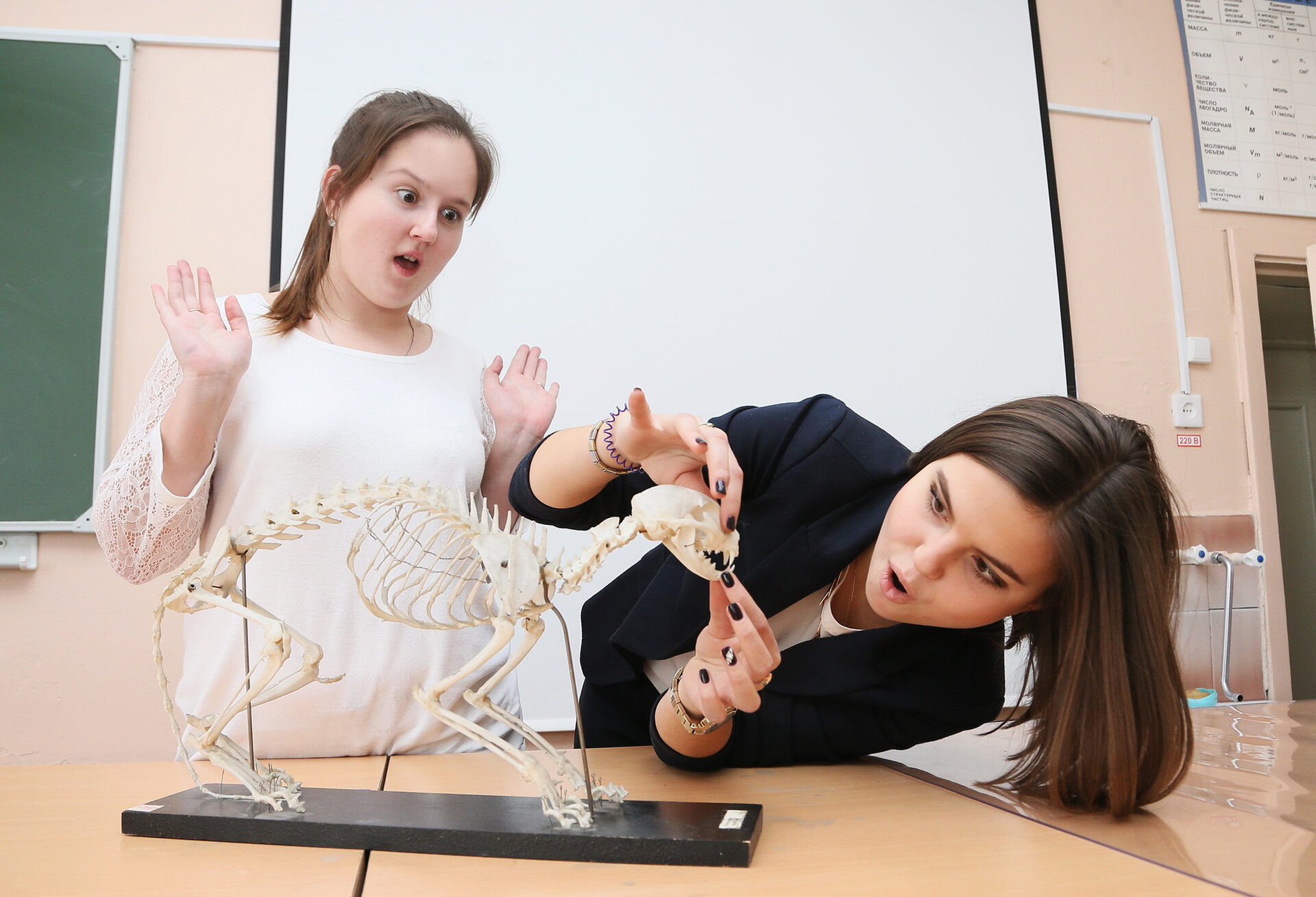 Альбомы для 9 и 11 класса. Создание стильных выпускных альбомов