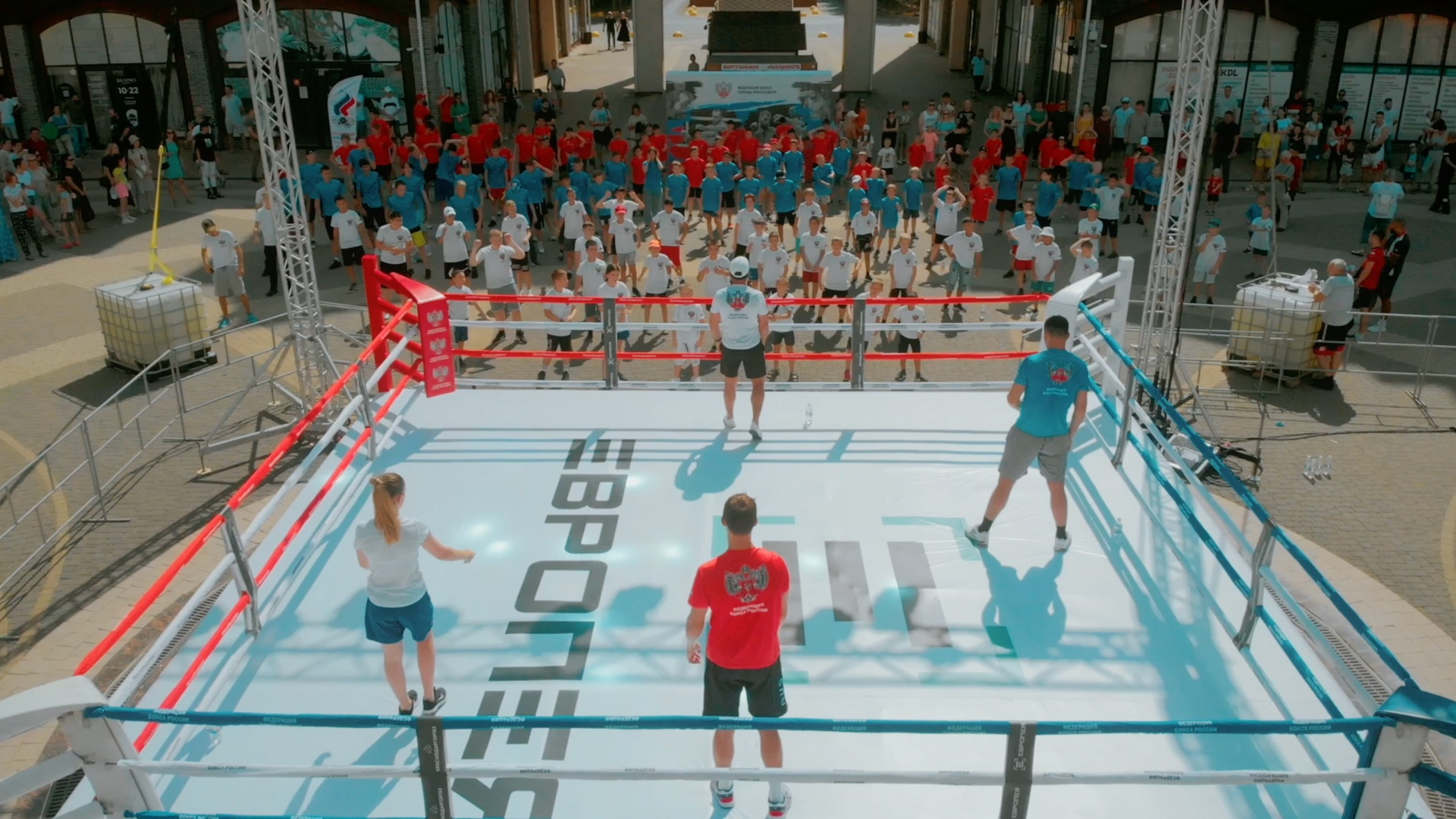 Бизнес. Портфолио