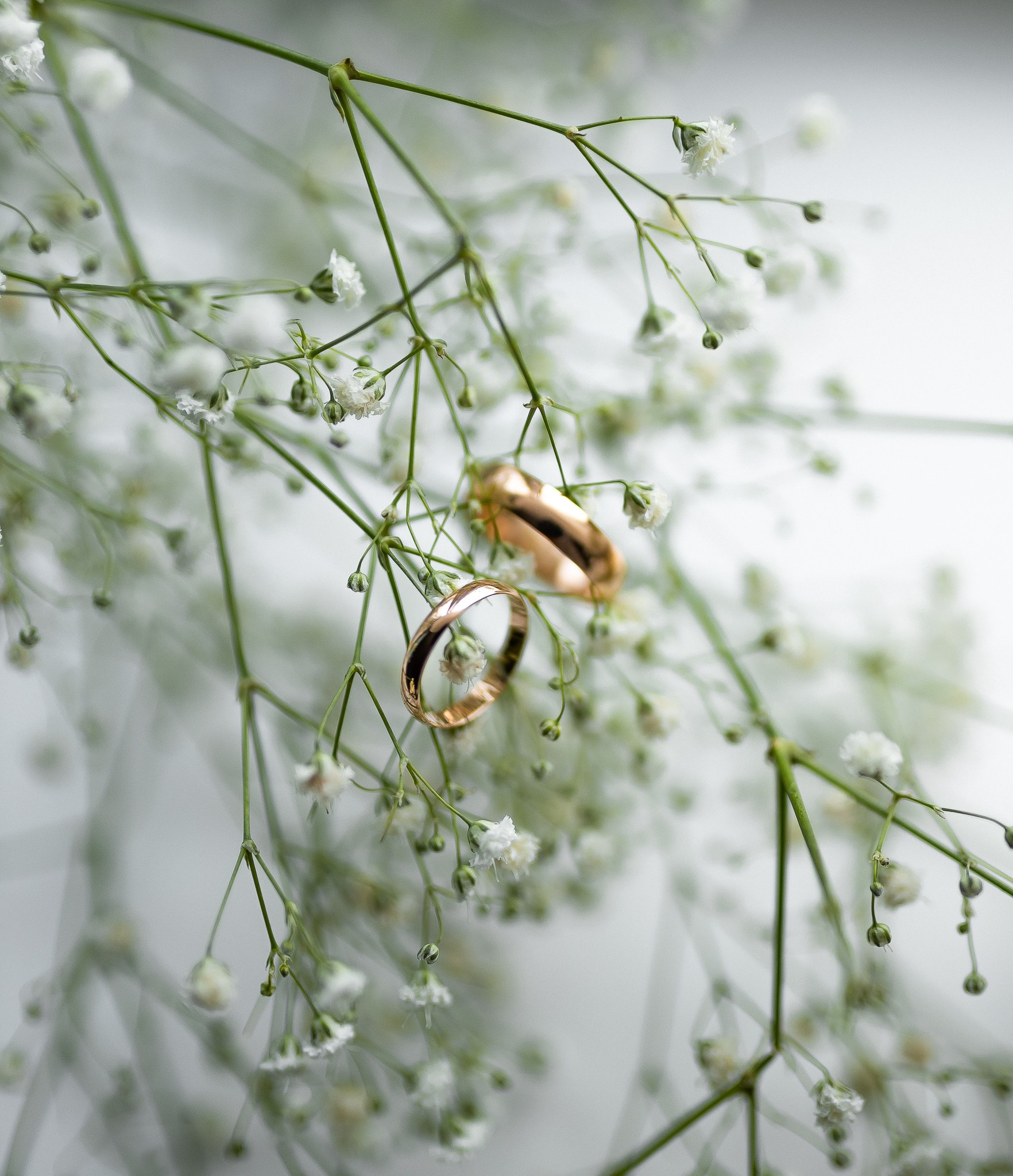 MIKHAIL VASSILYEV — Свадебный и Репортажный фотограф в Алматы