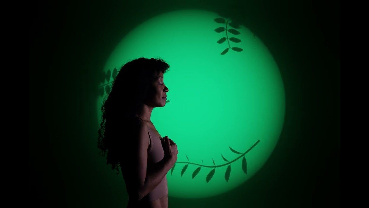 Переплетенные нити. Sandra Marselly | Абстрактная Макро-Фотография